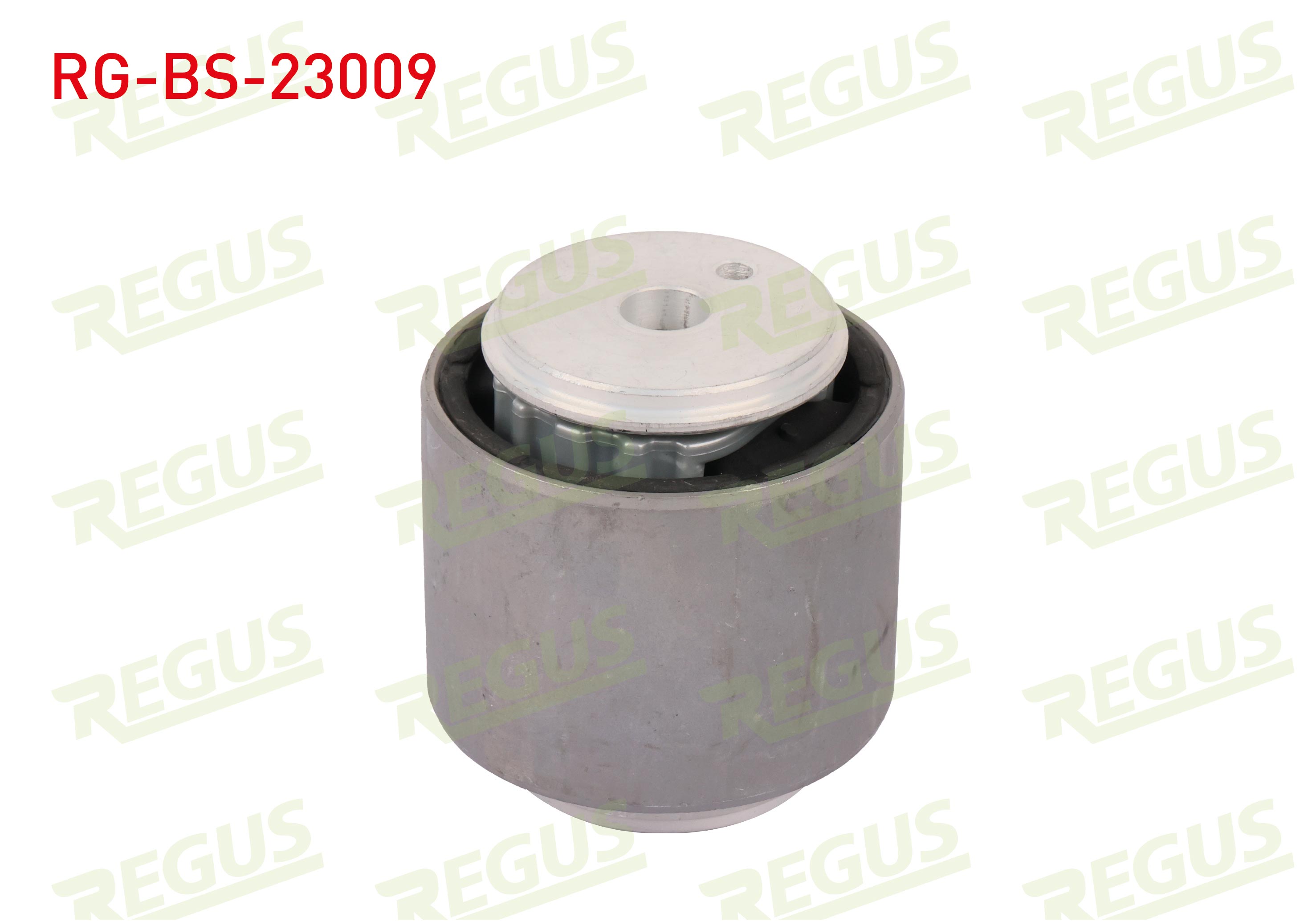 REGUS 