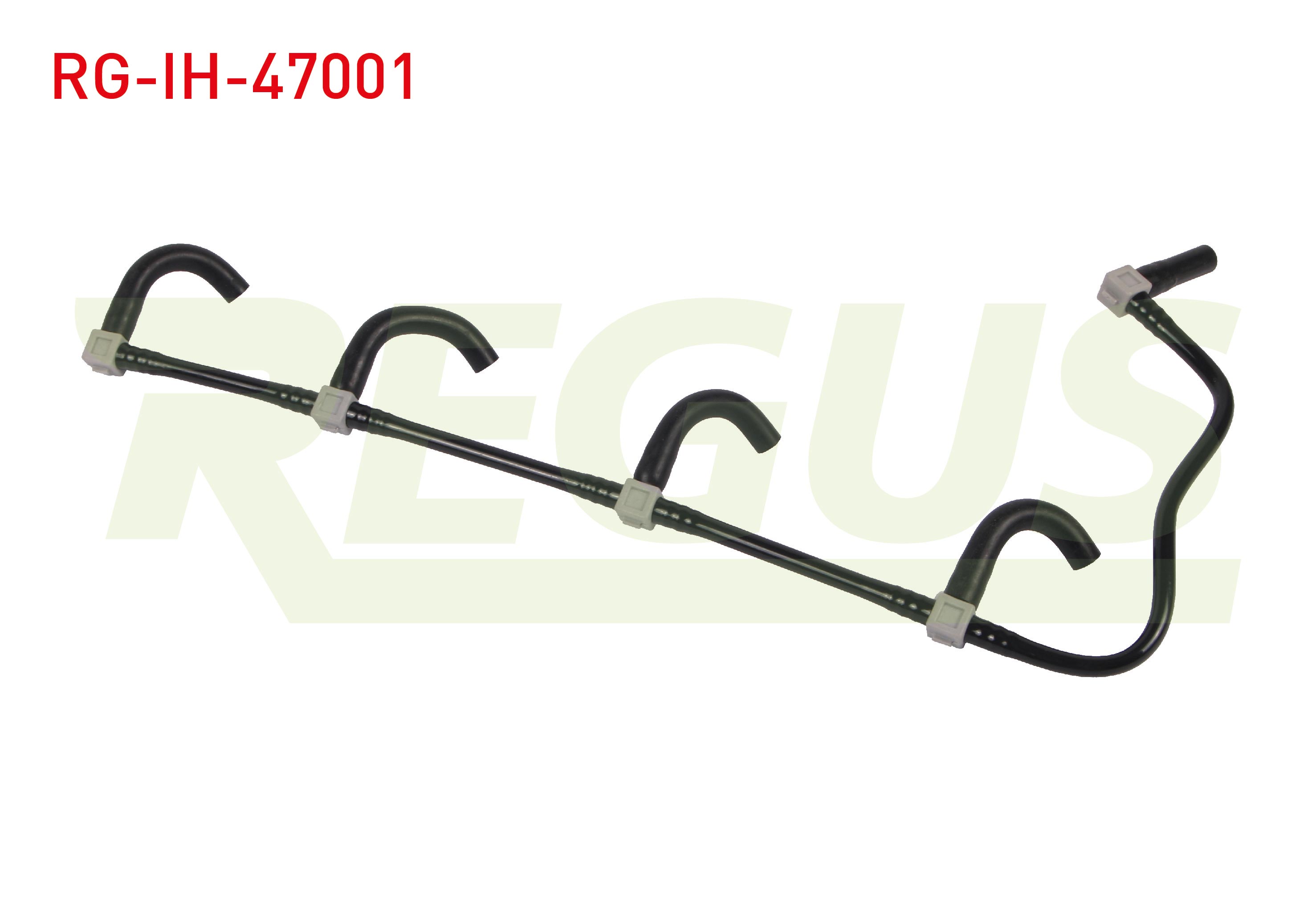 REGUS 11061