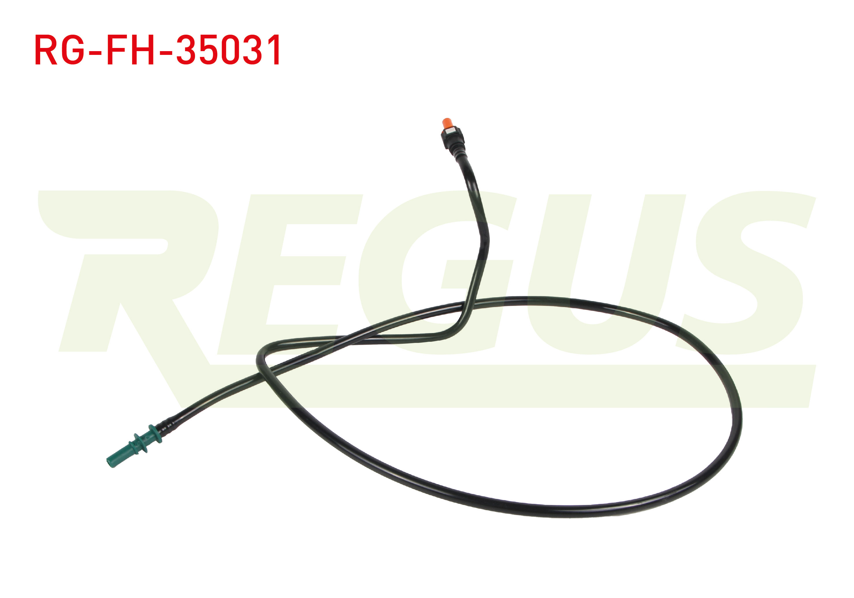 REGUS 11809