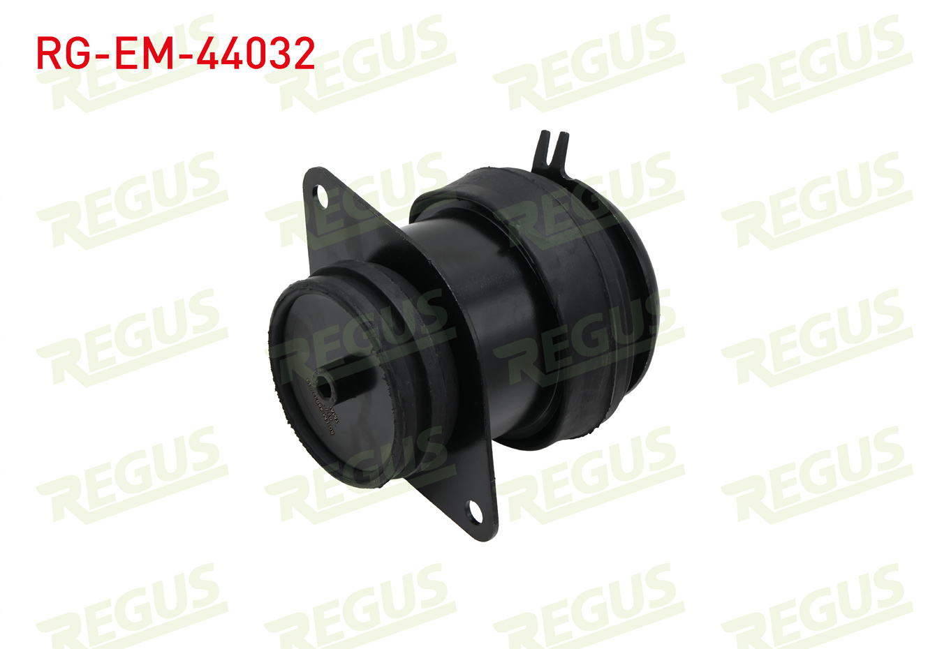 REGUS 