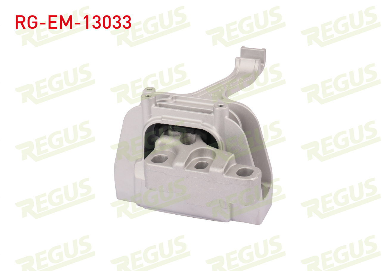 REGUS 