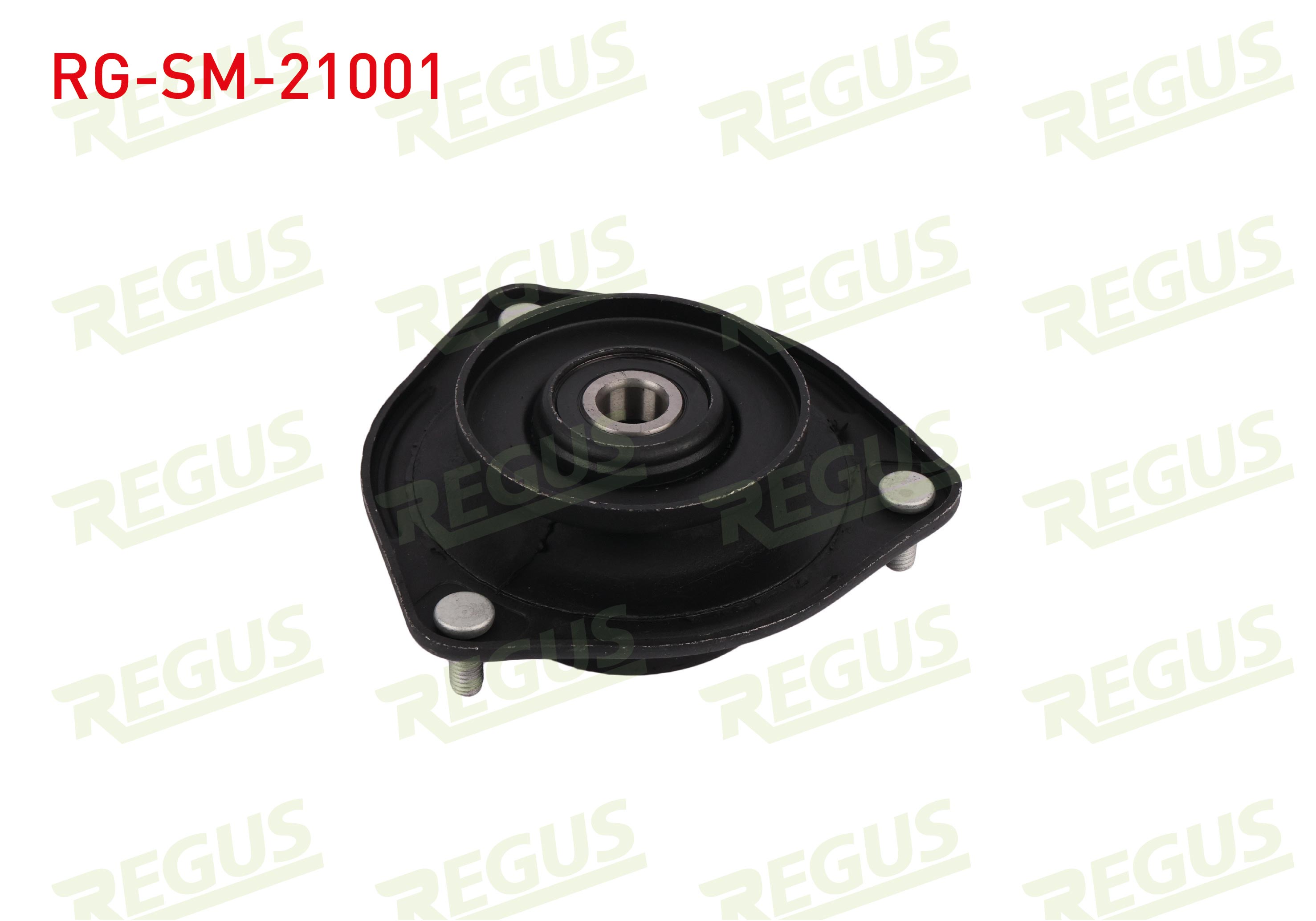 REGUS 63-09541