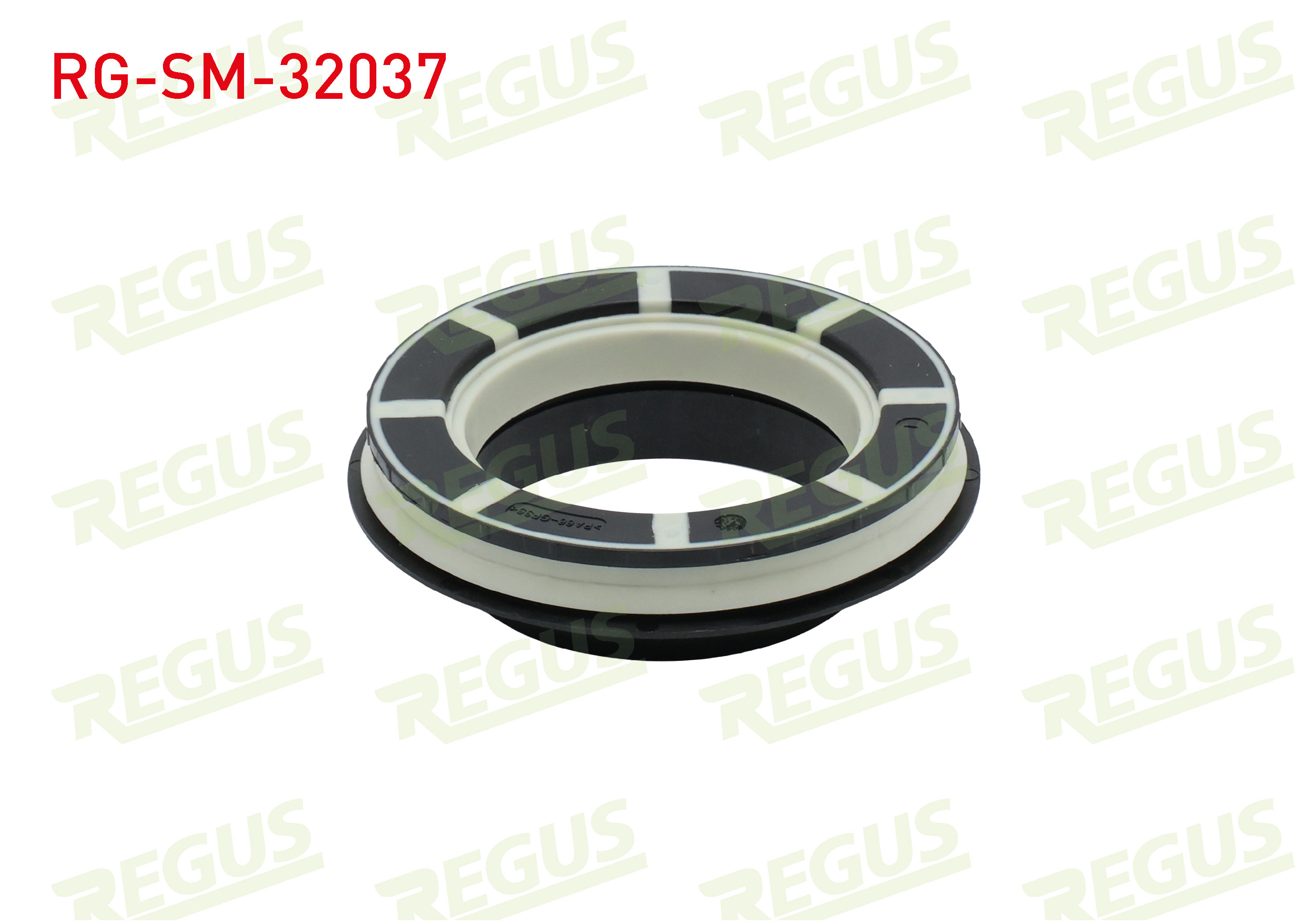 REGUS 63-11314