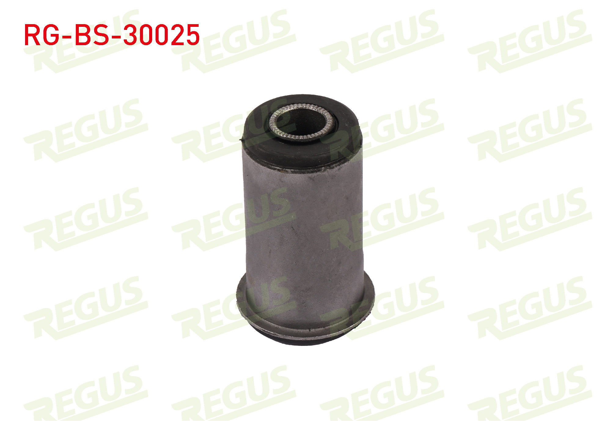 REGUS 57-11988