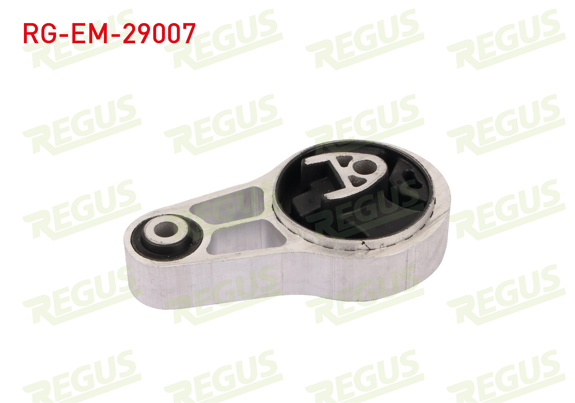 REGUS 61-13769