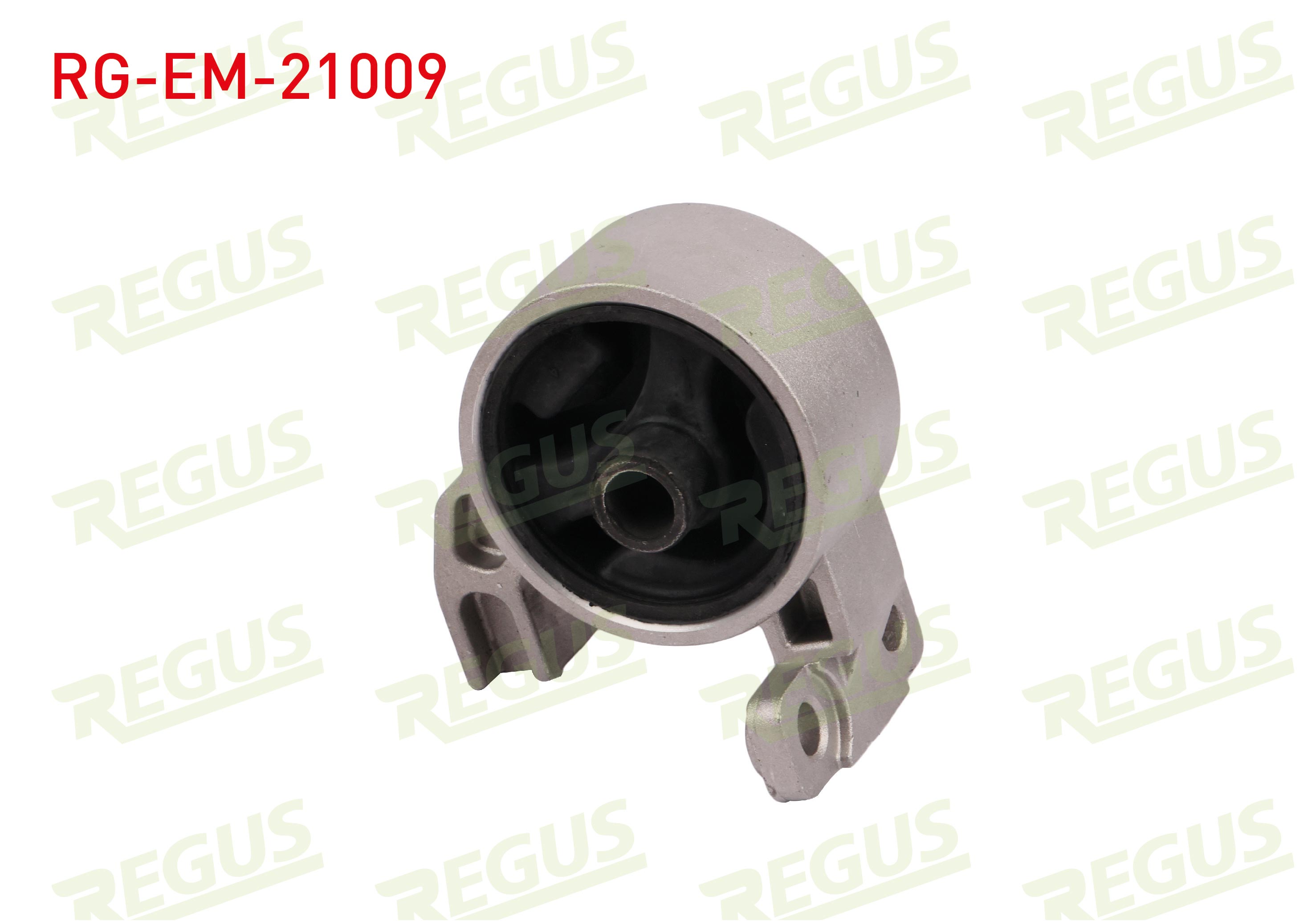 REGUS  | MOTOR TAKOZU ON HYUNDAI ACCENT ERA 1.4i 16v 2006-2012