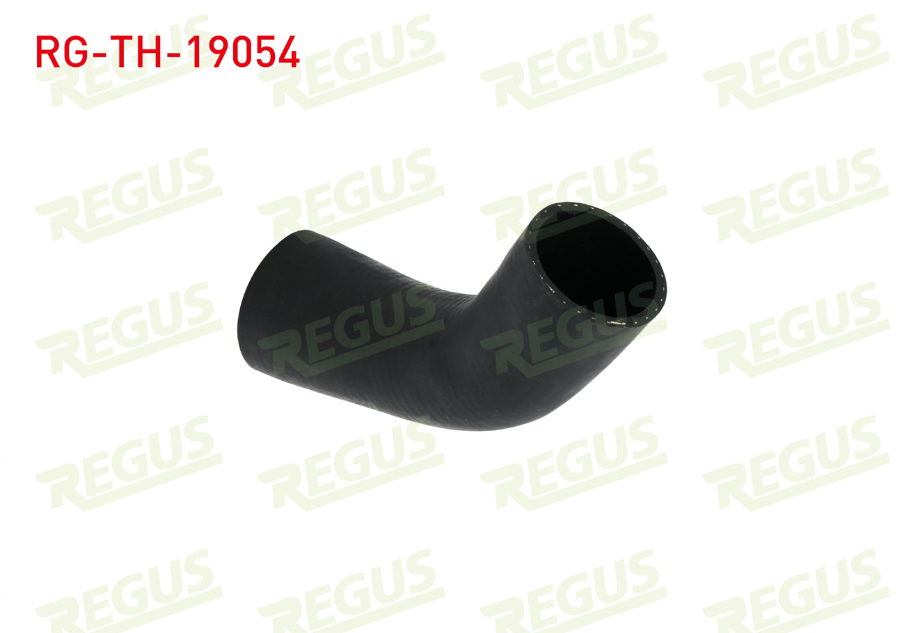 REGUS 19558