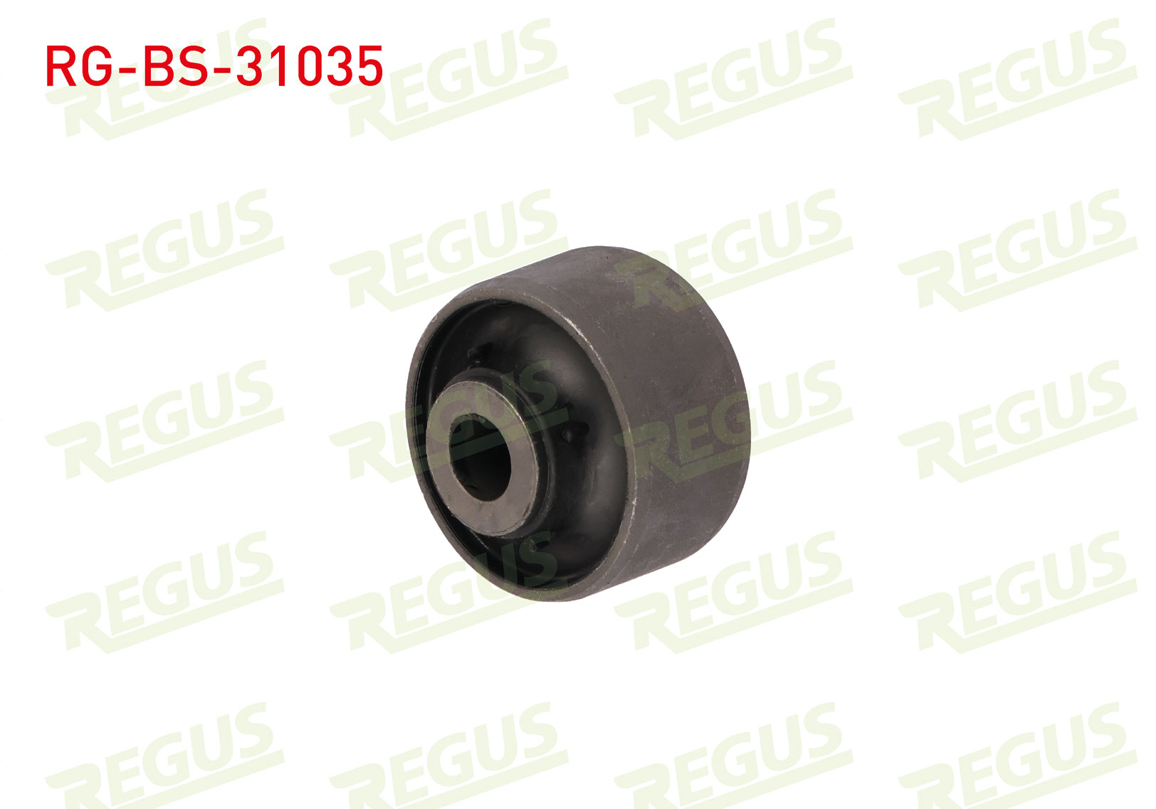 REGUS 57-04620