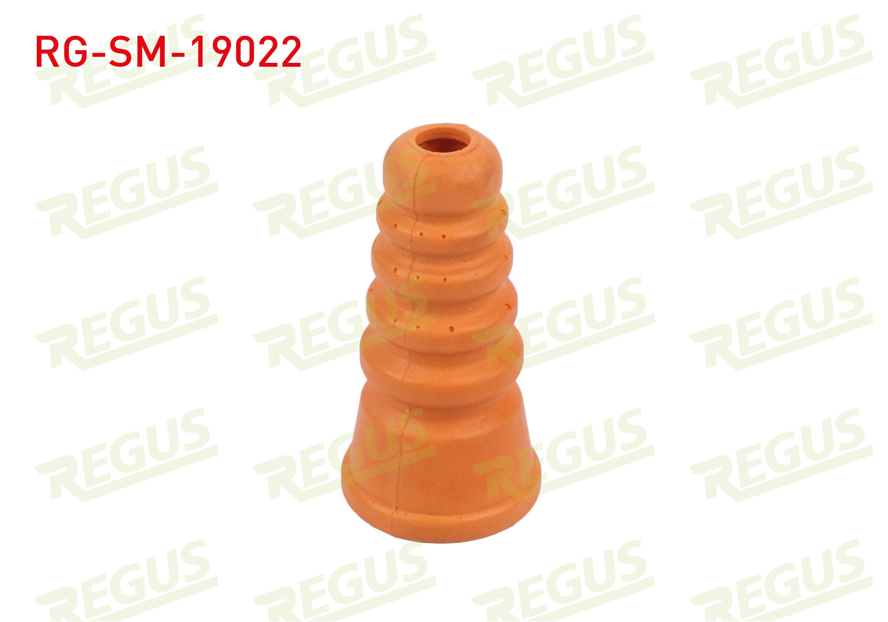 REGUS 19519