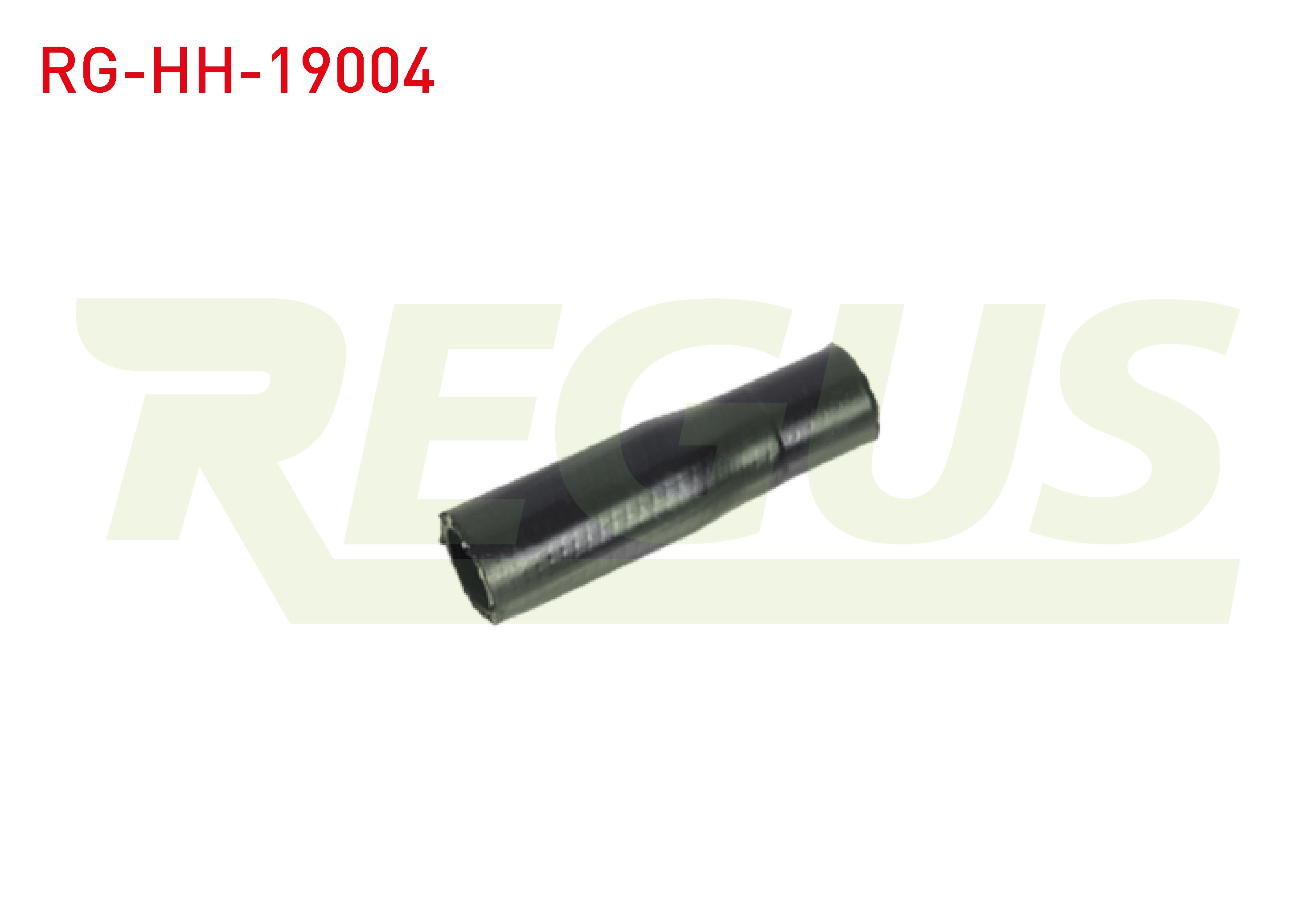 REGUS 