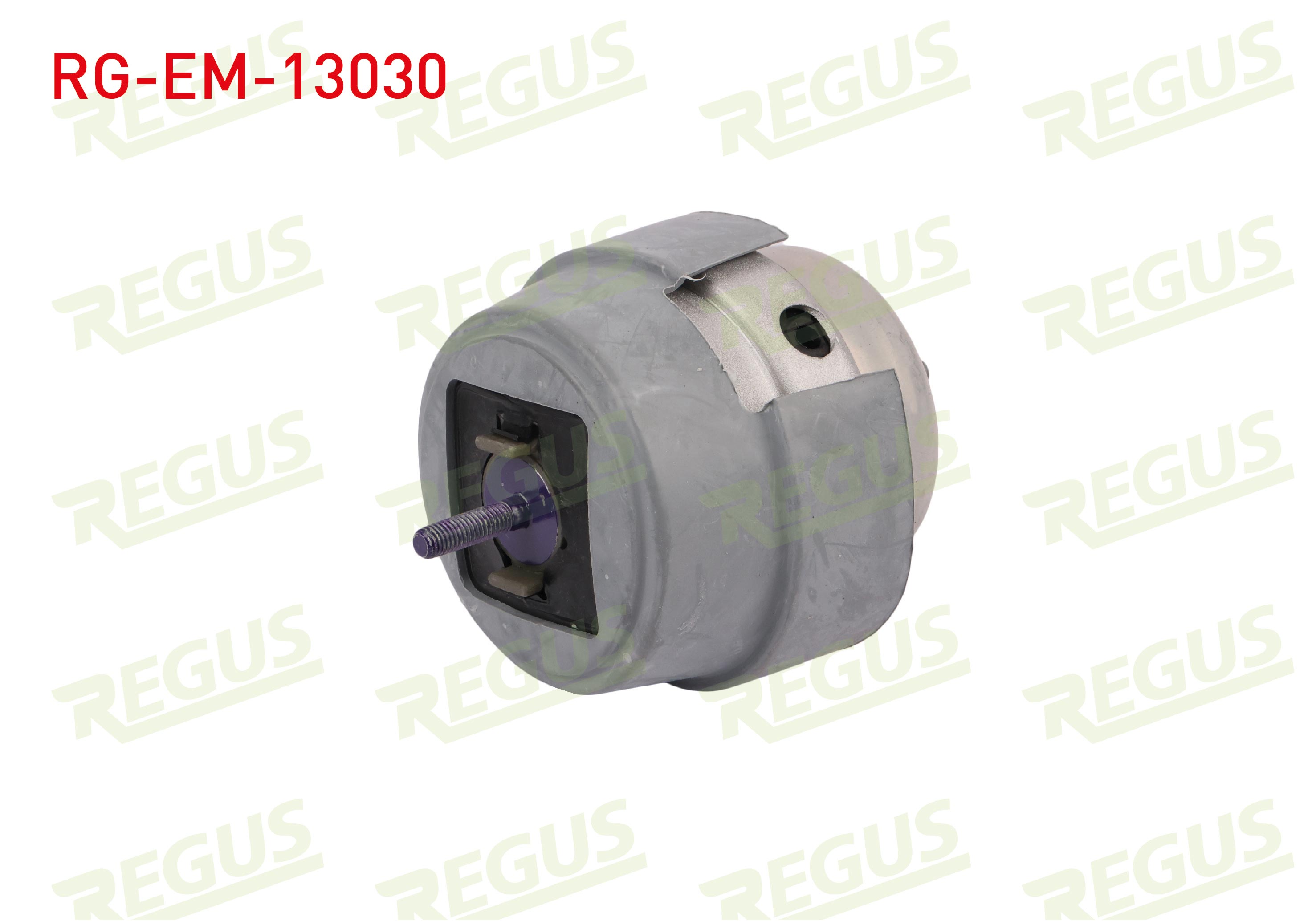 REGUS 61-10914