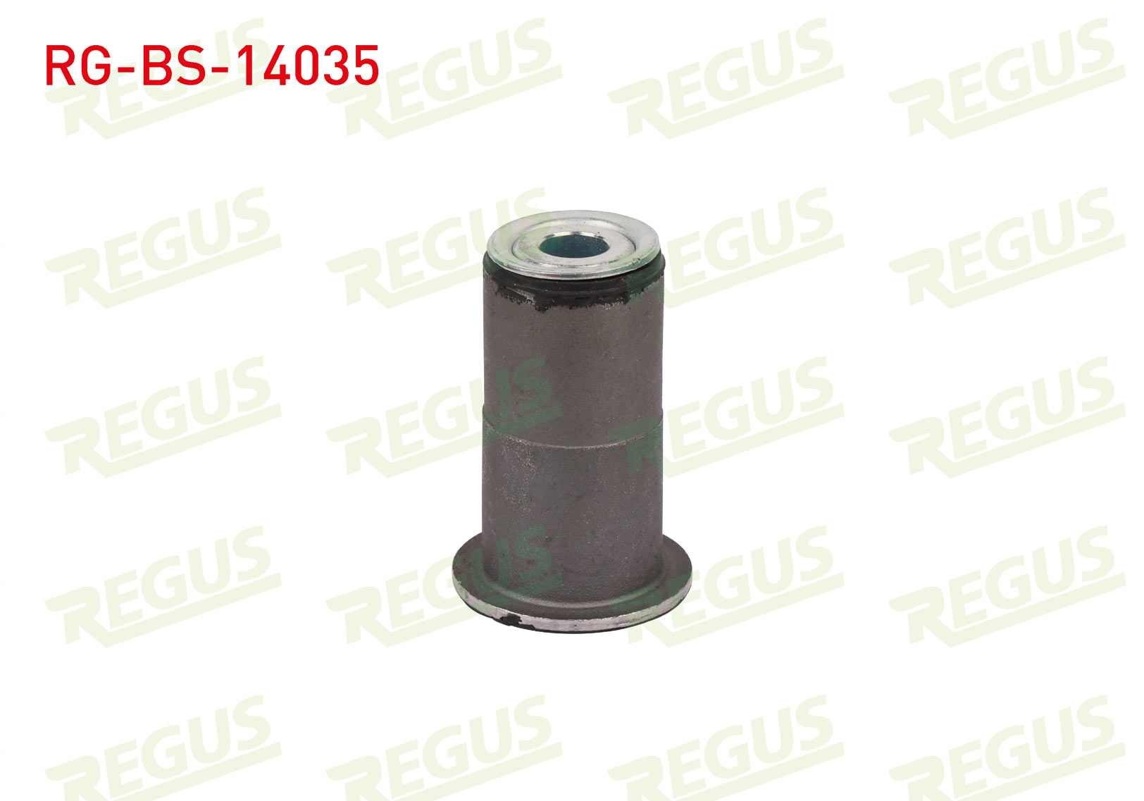 REGUS 10621 02