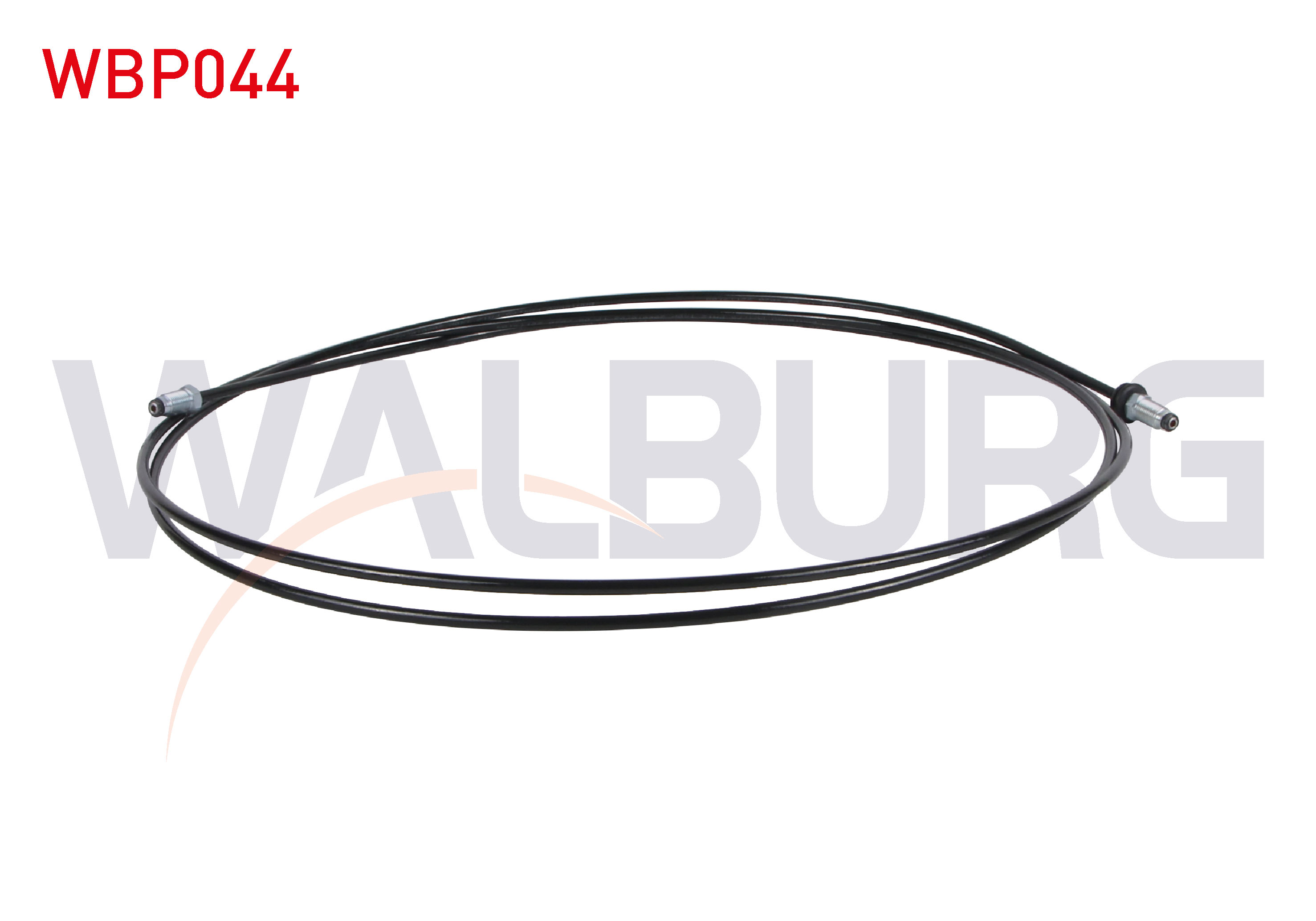 WALBURG 