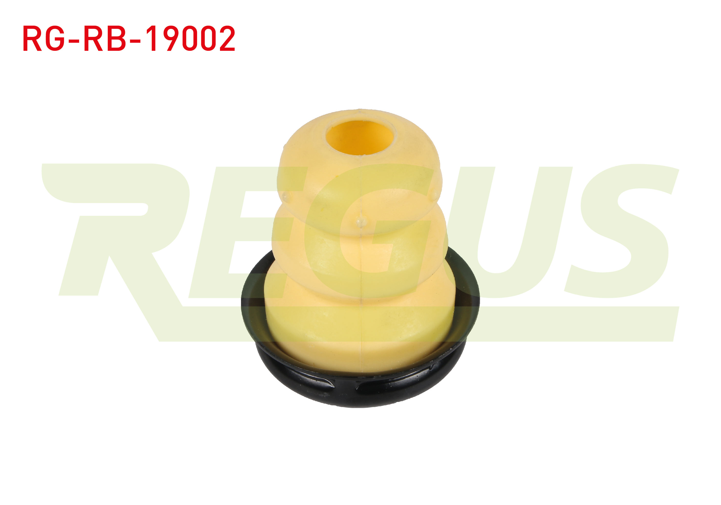 REGUS 