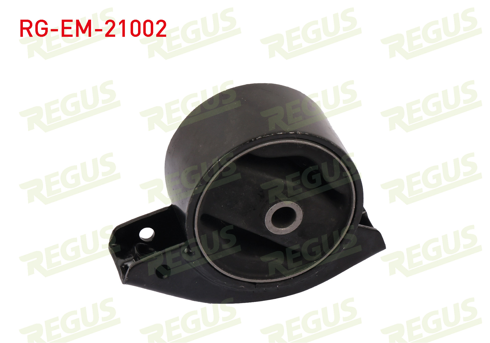 REGUS 61-06823