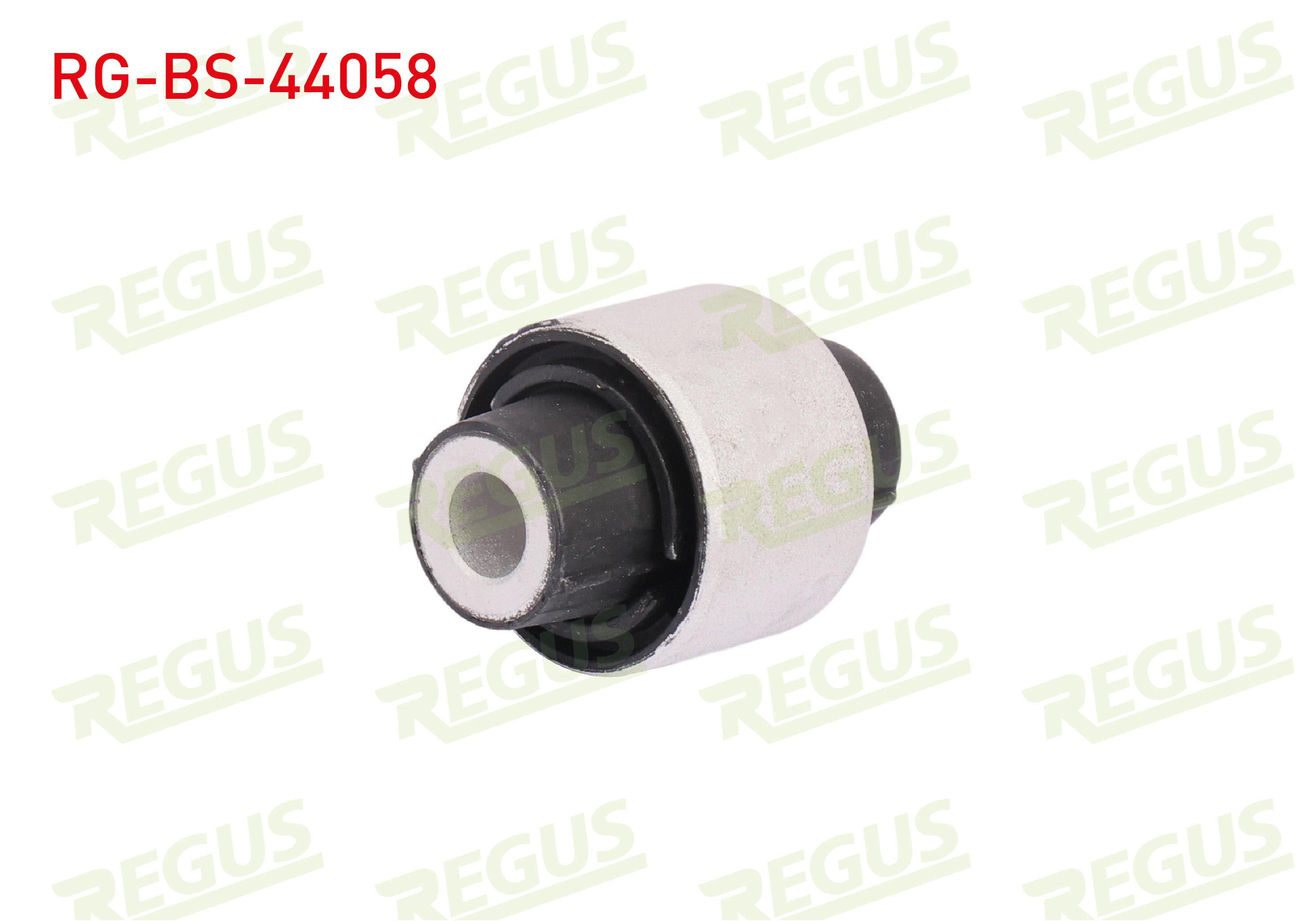 REGUS 29690