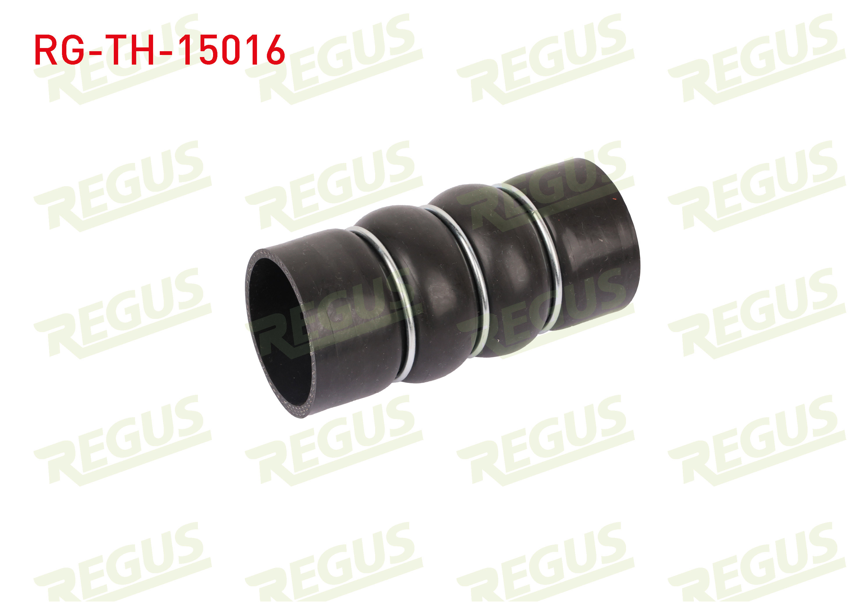 REGUS 17289