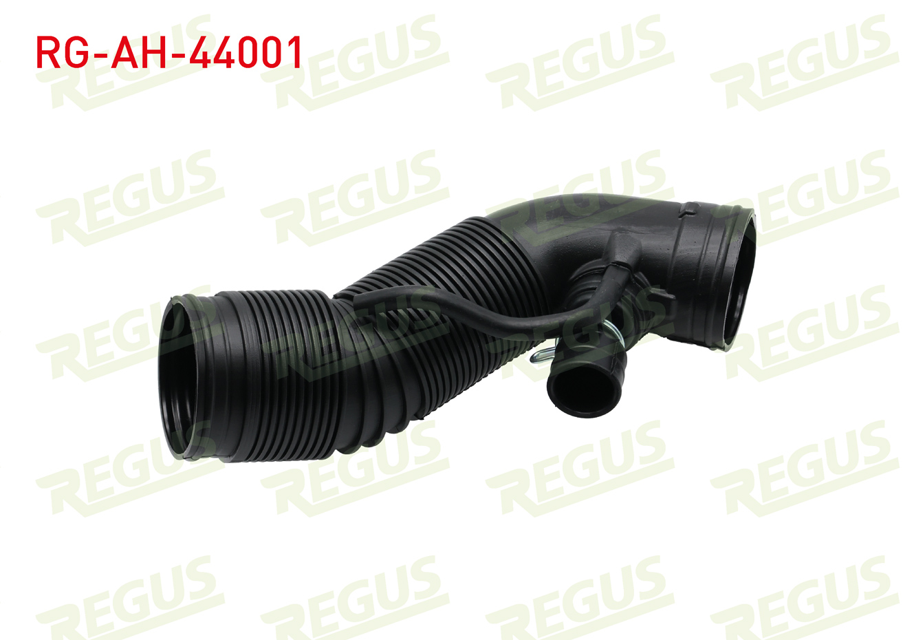 REGUS 27618