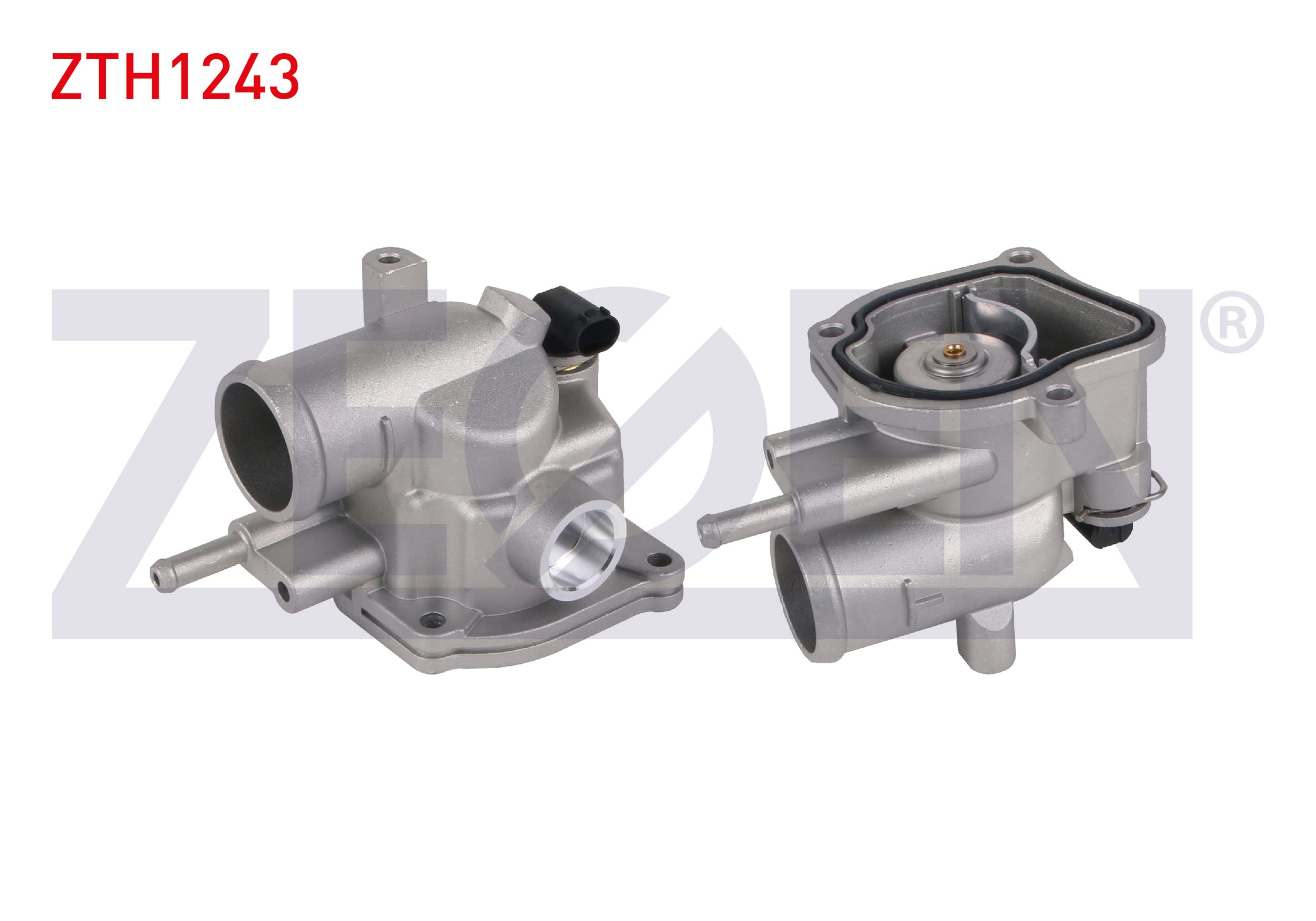 ZEGEN TH0170004
