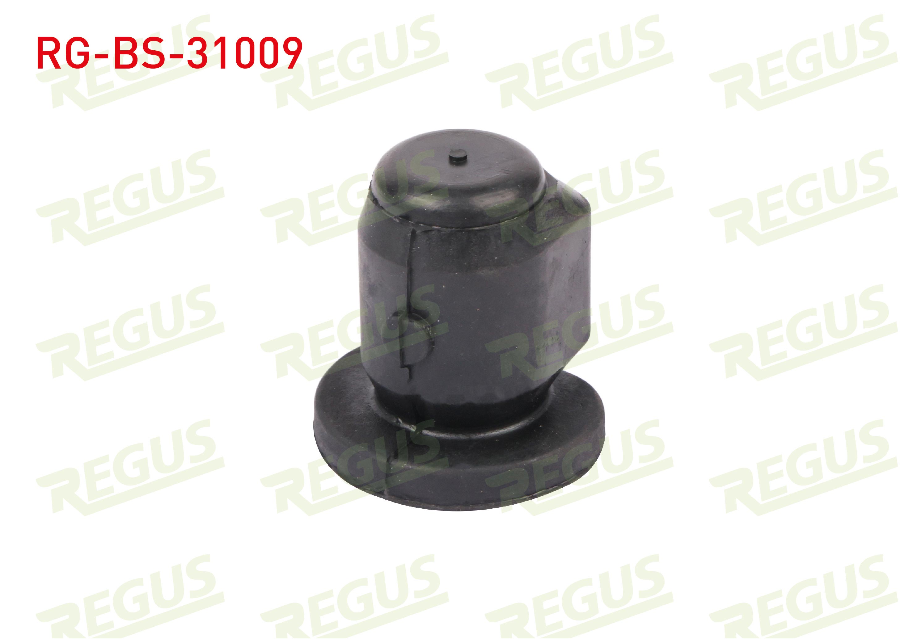 REGUS TD331W