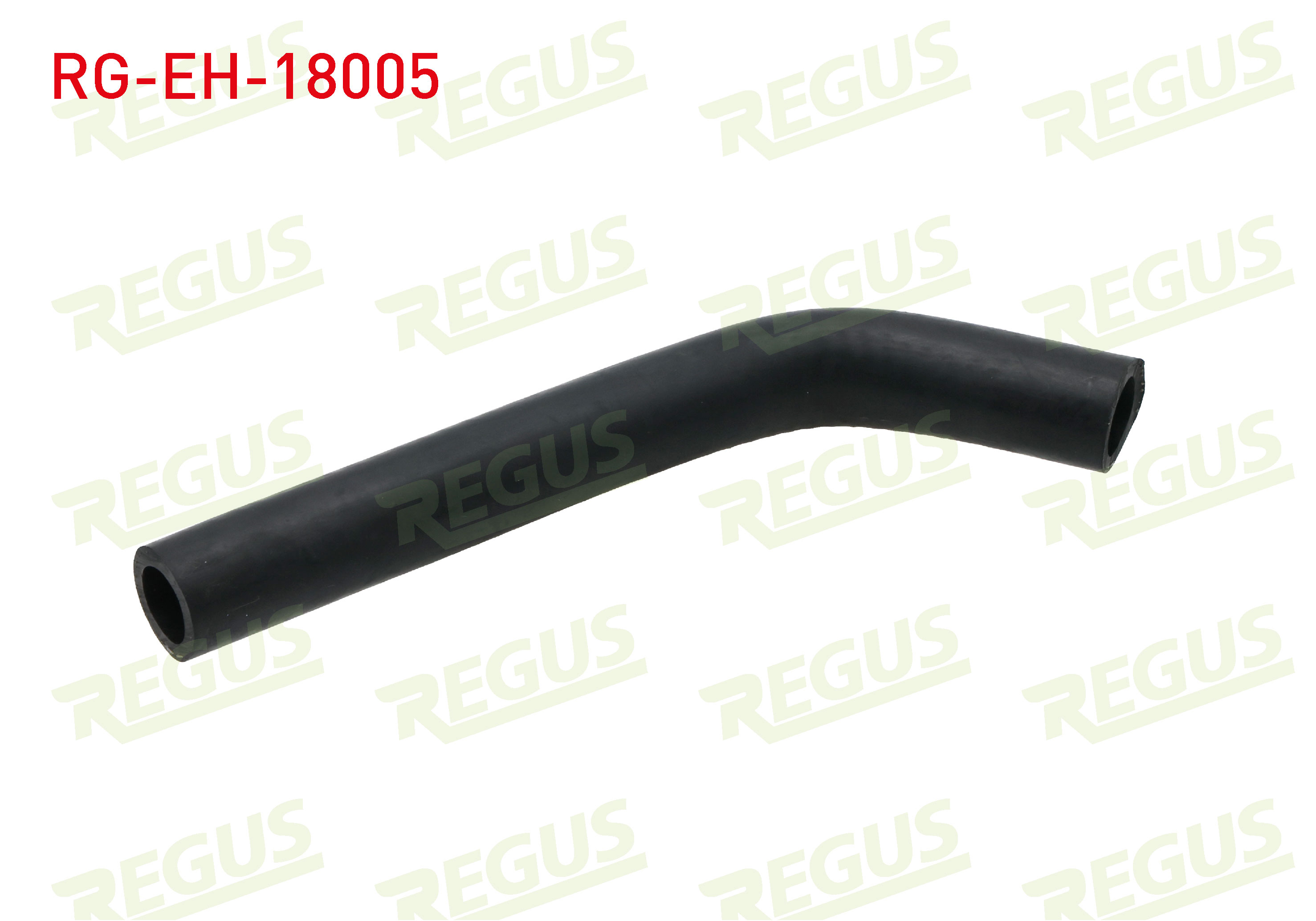 REGUS 14009