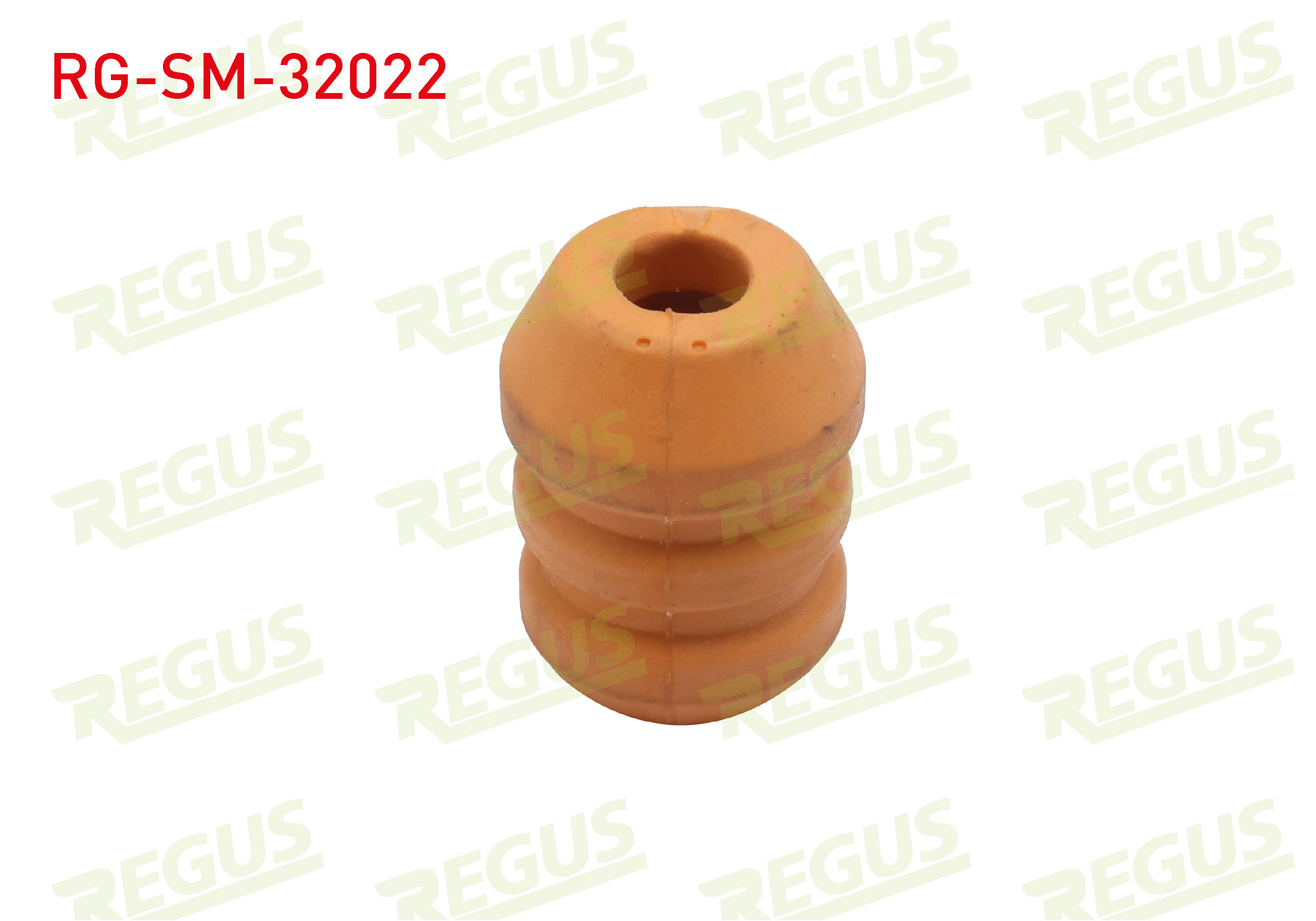 REGUS 12441