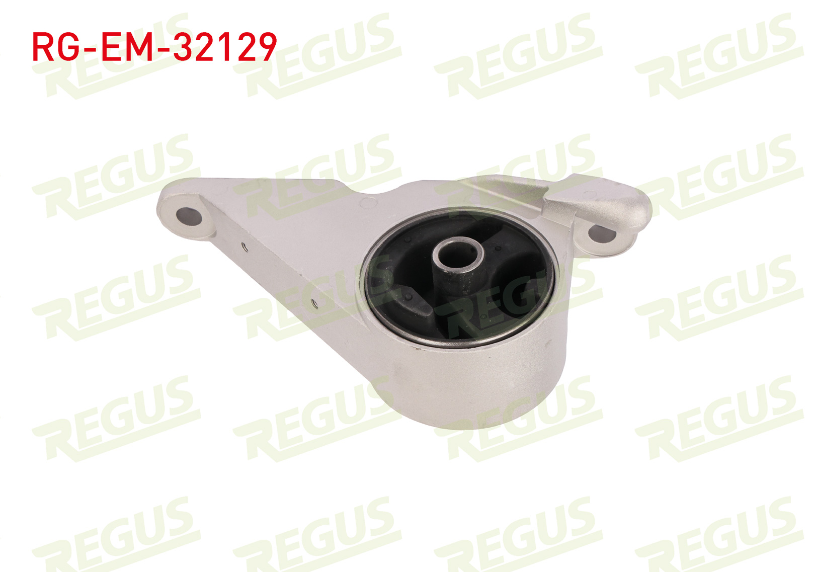 REGUS 61-11409