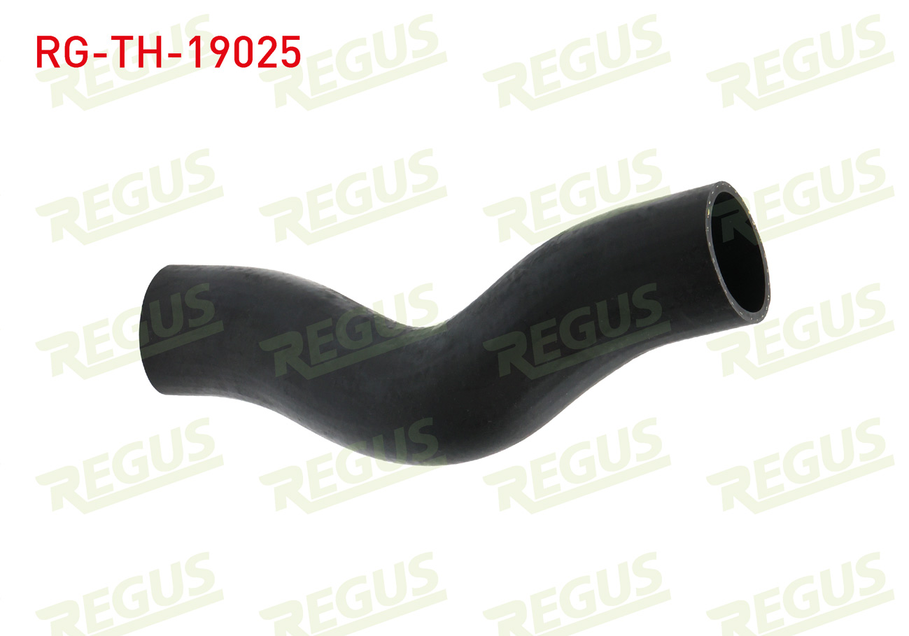 REGUS 