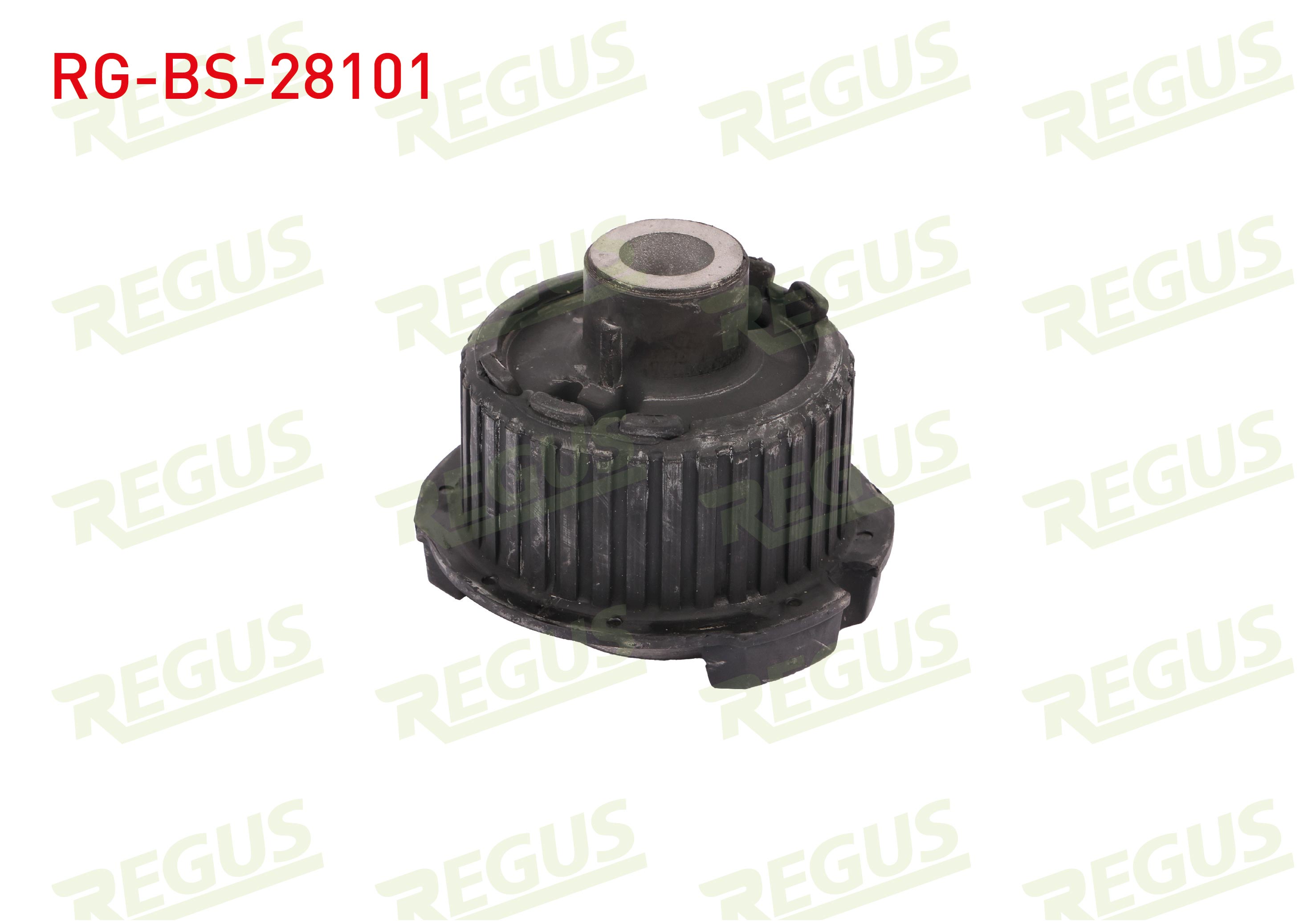 REGUS 29360