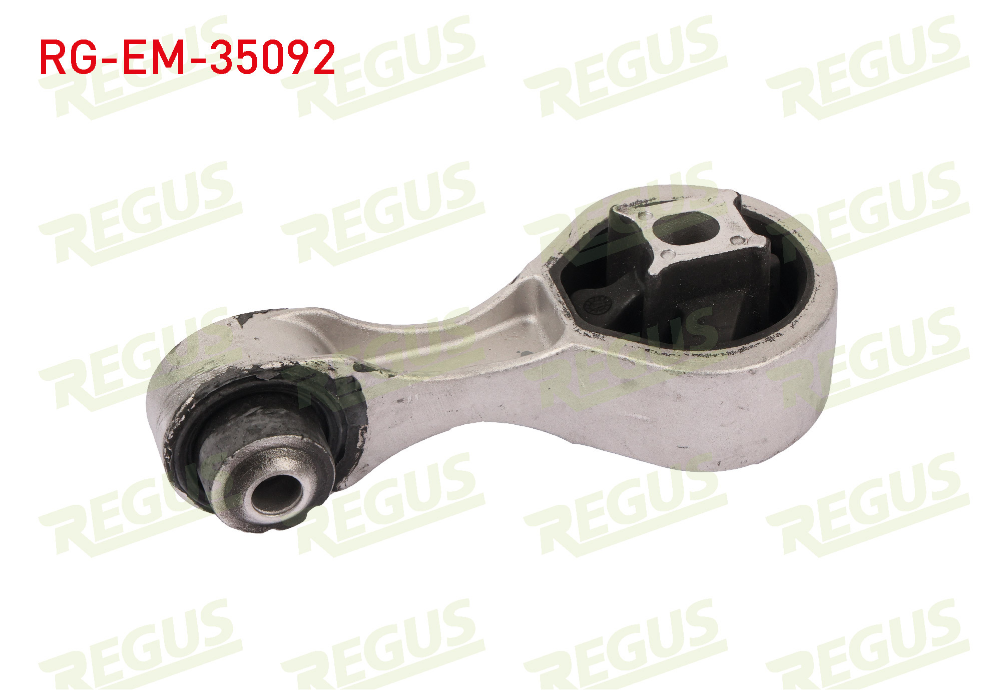 REGUS 61-10160