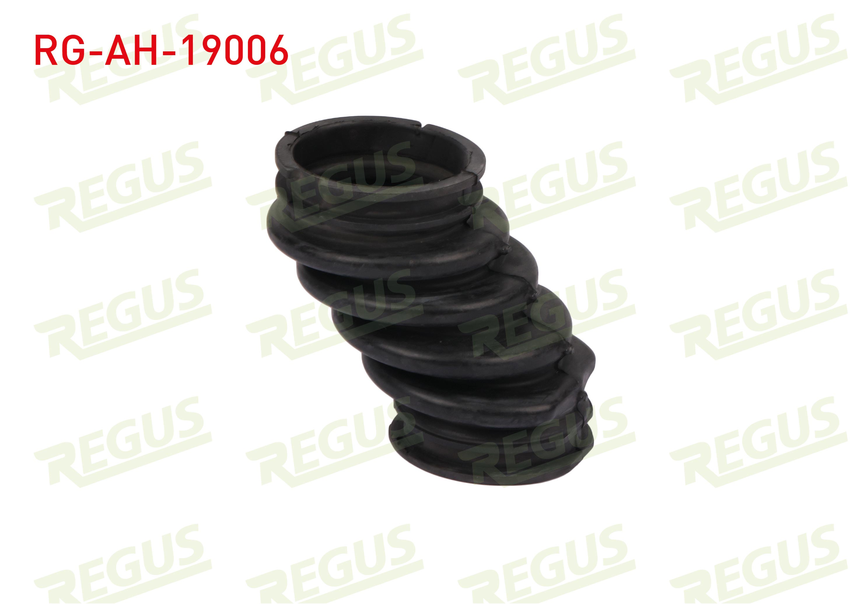 REGUS 19913