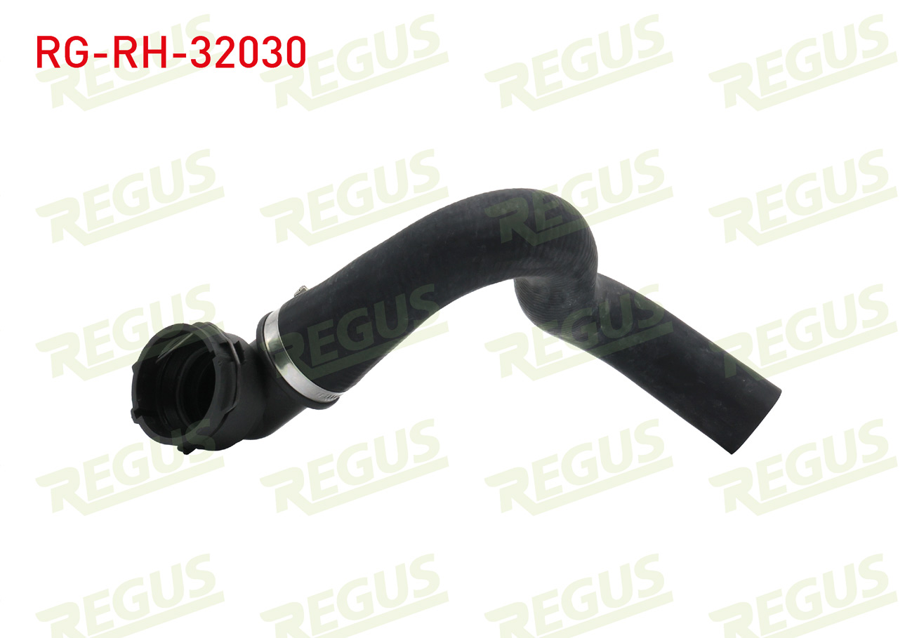 REGUS 21207