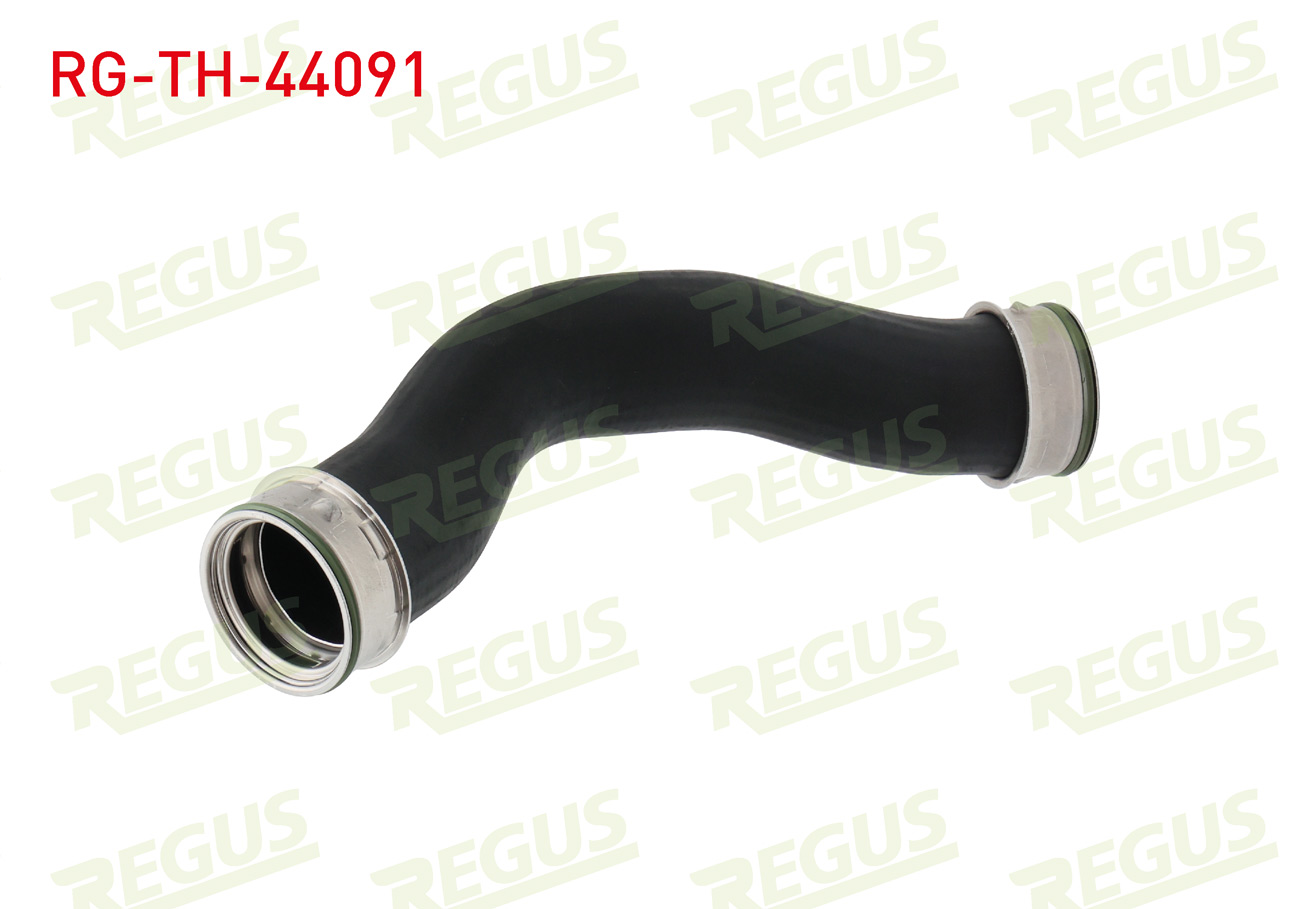 REGUS 