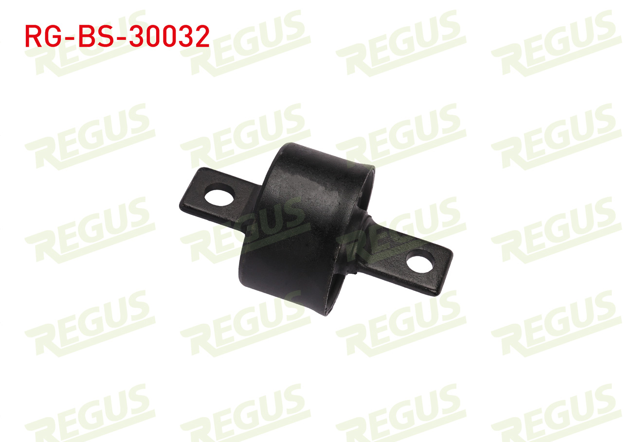 REGUS 