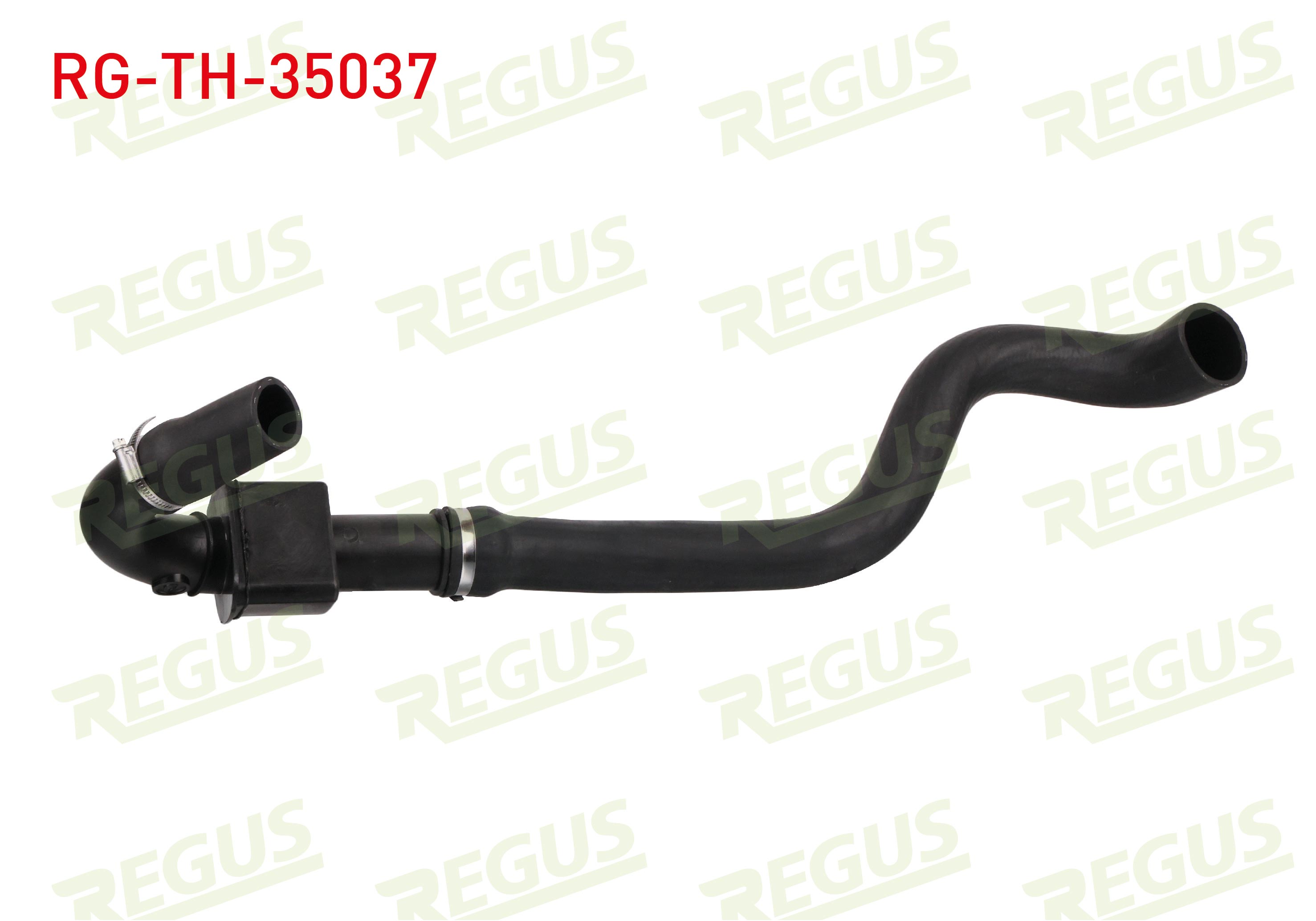 REGUS 11565
