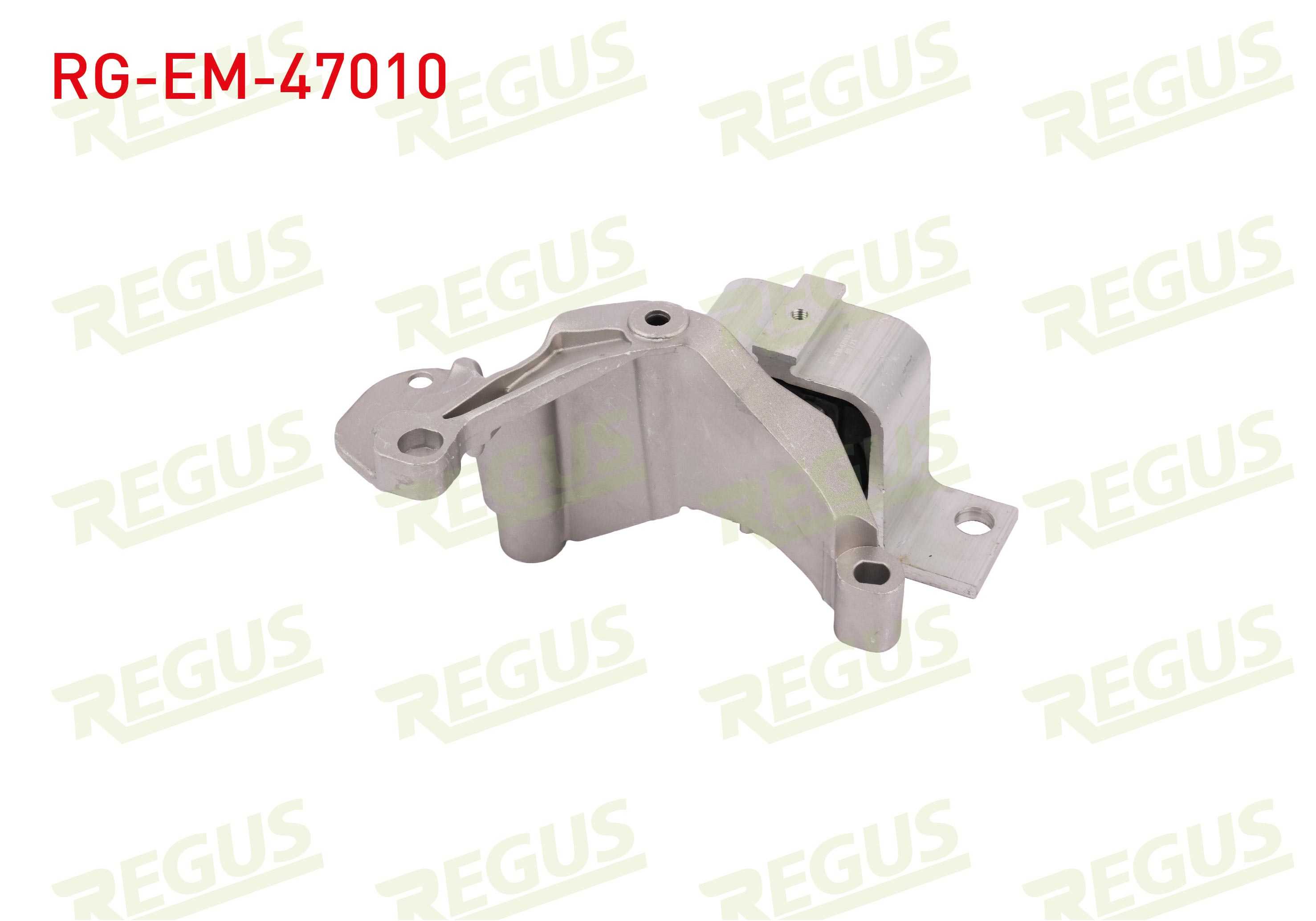 REGUS 61-10877