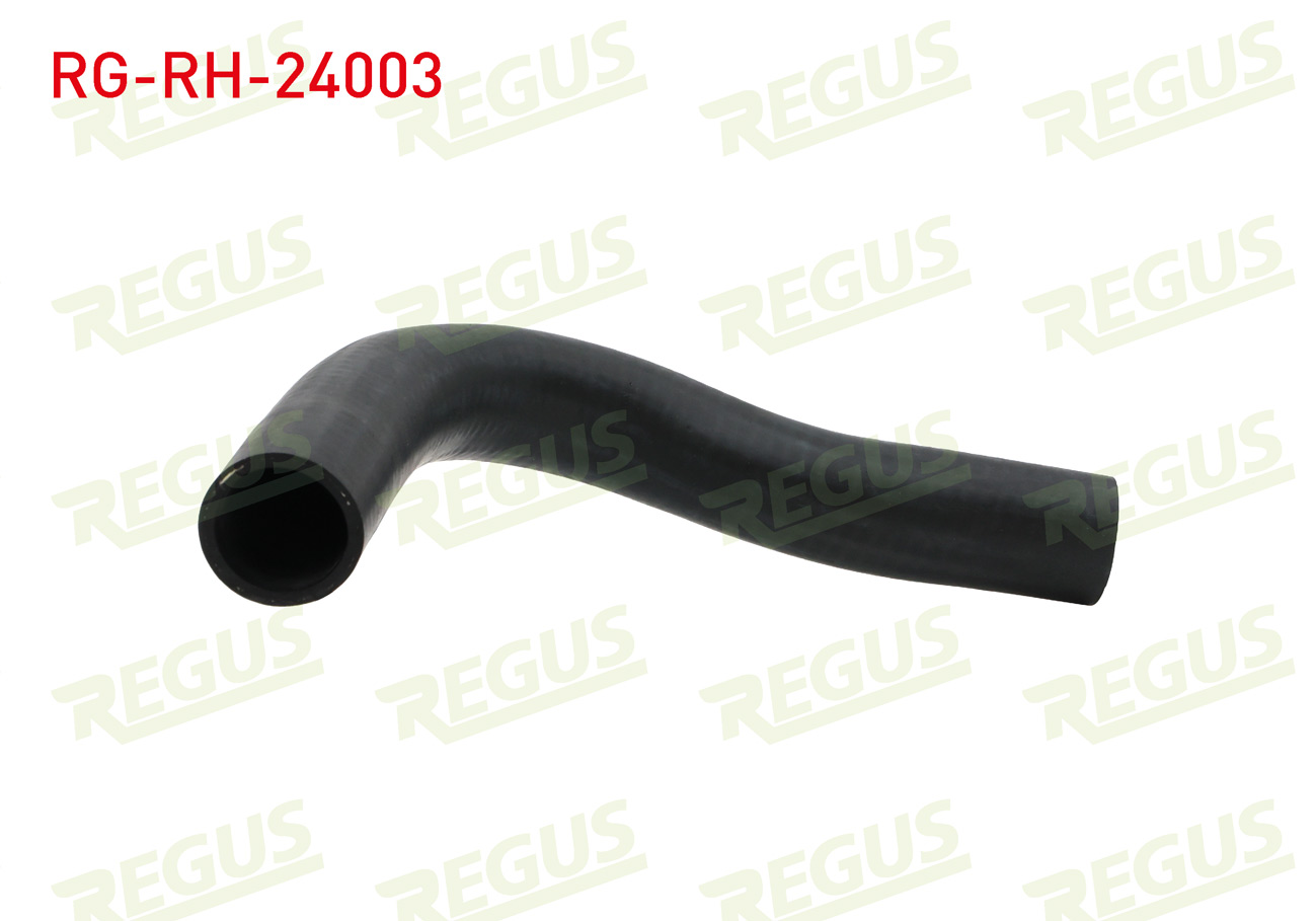 REGUS 31301