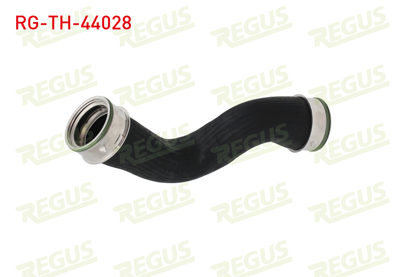 REGUS 