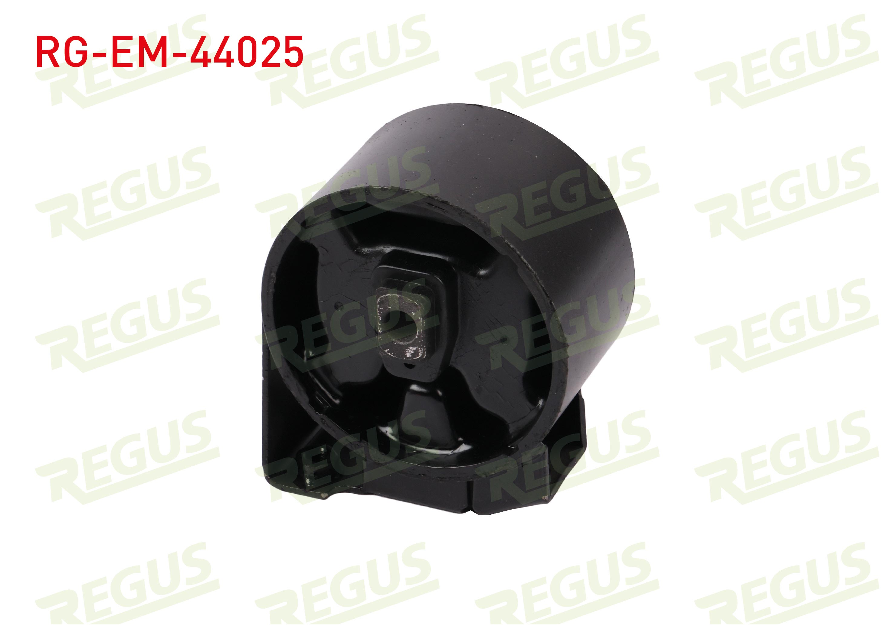 REGUS 