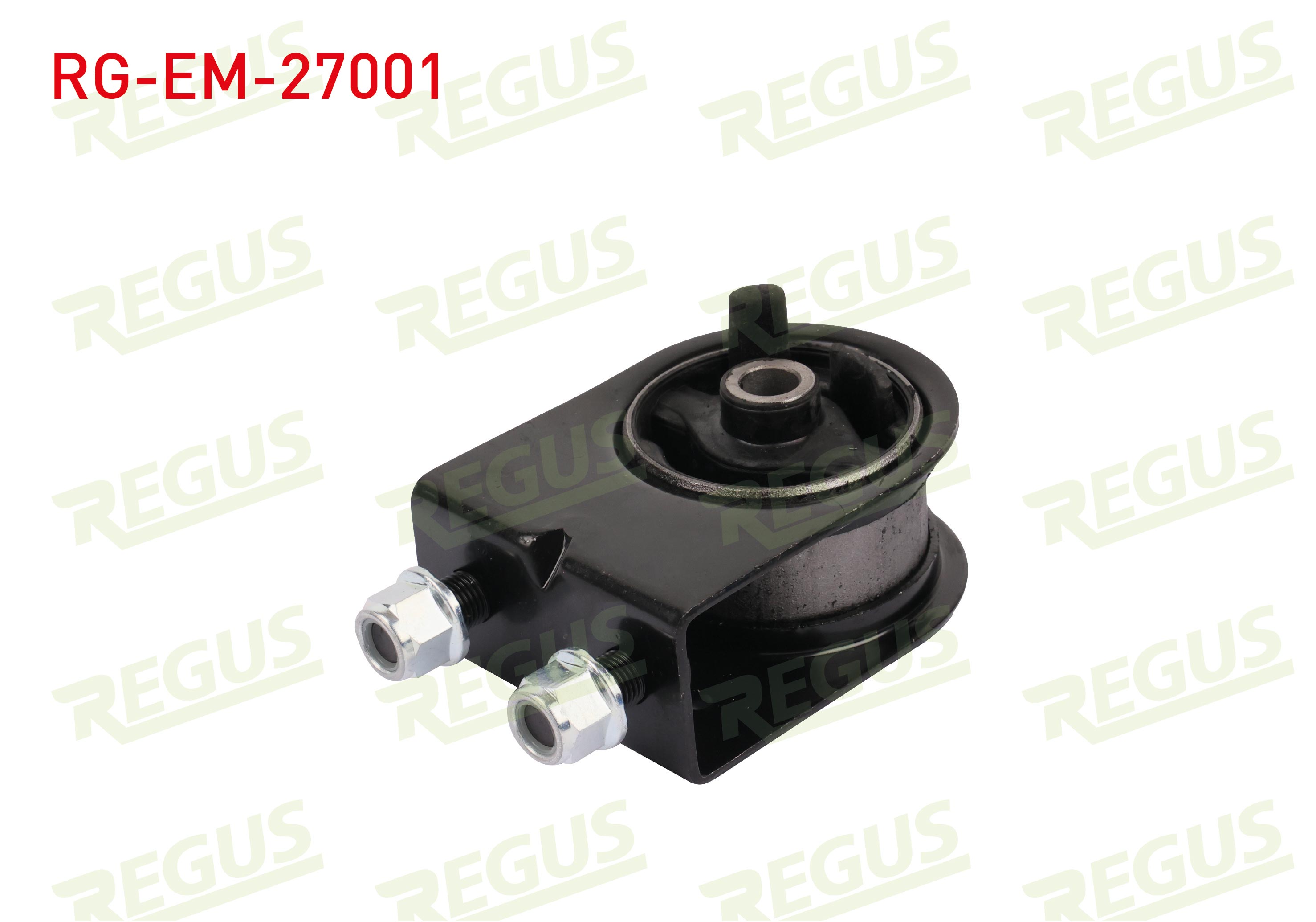 REGUS 61-06895