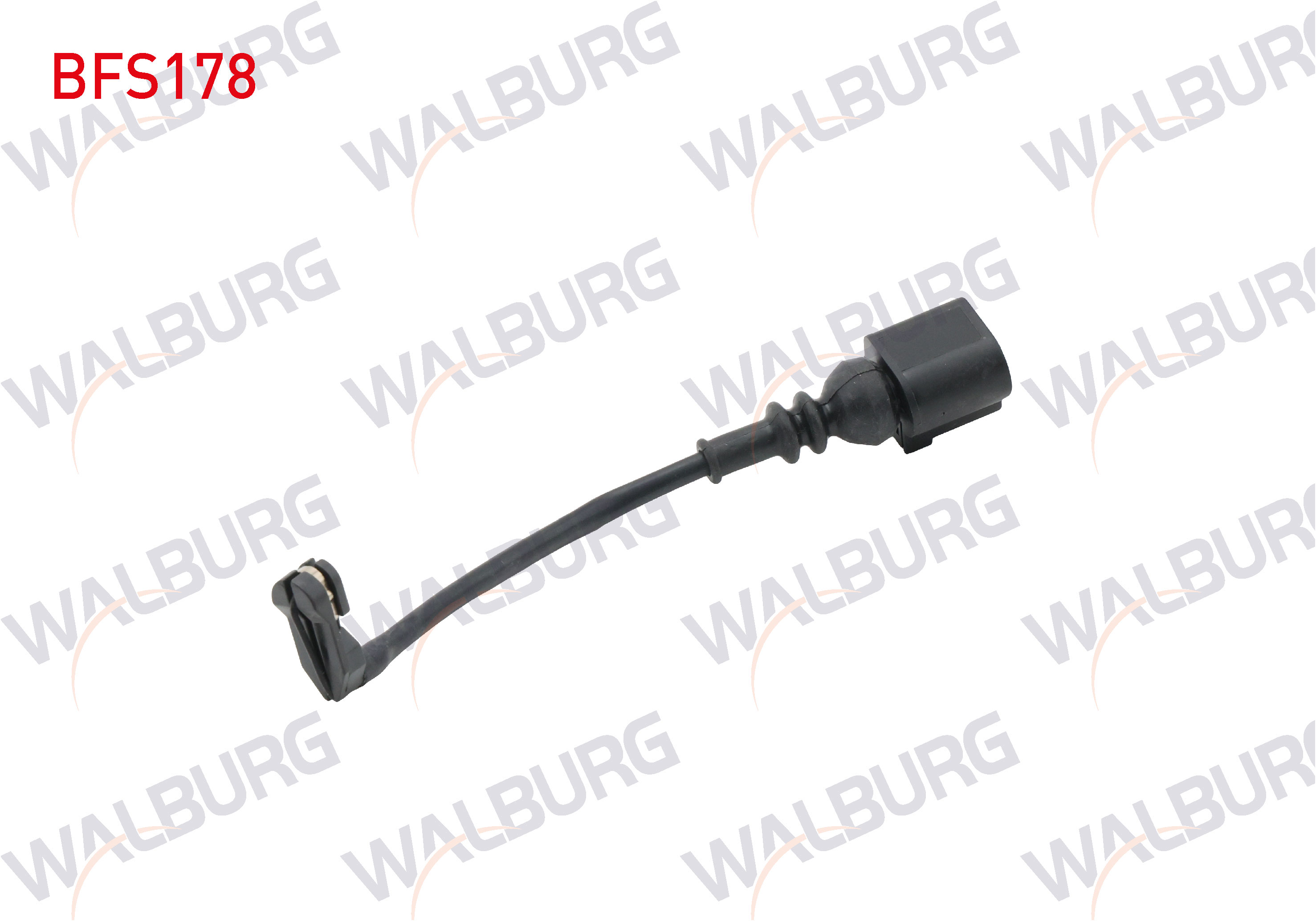 WALBURG 98066000