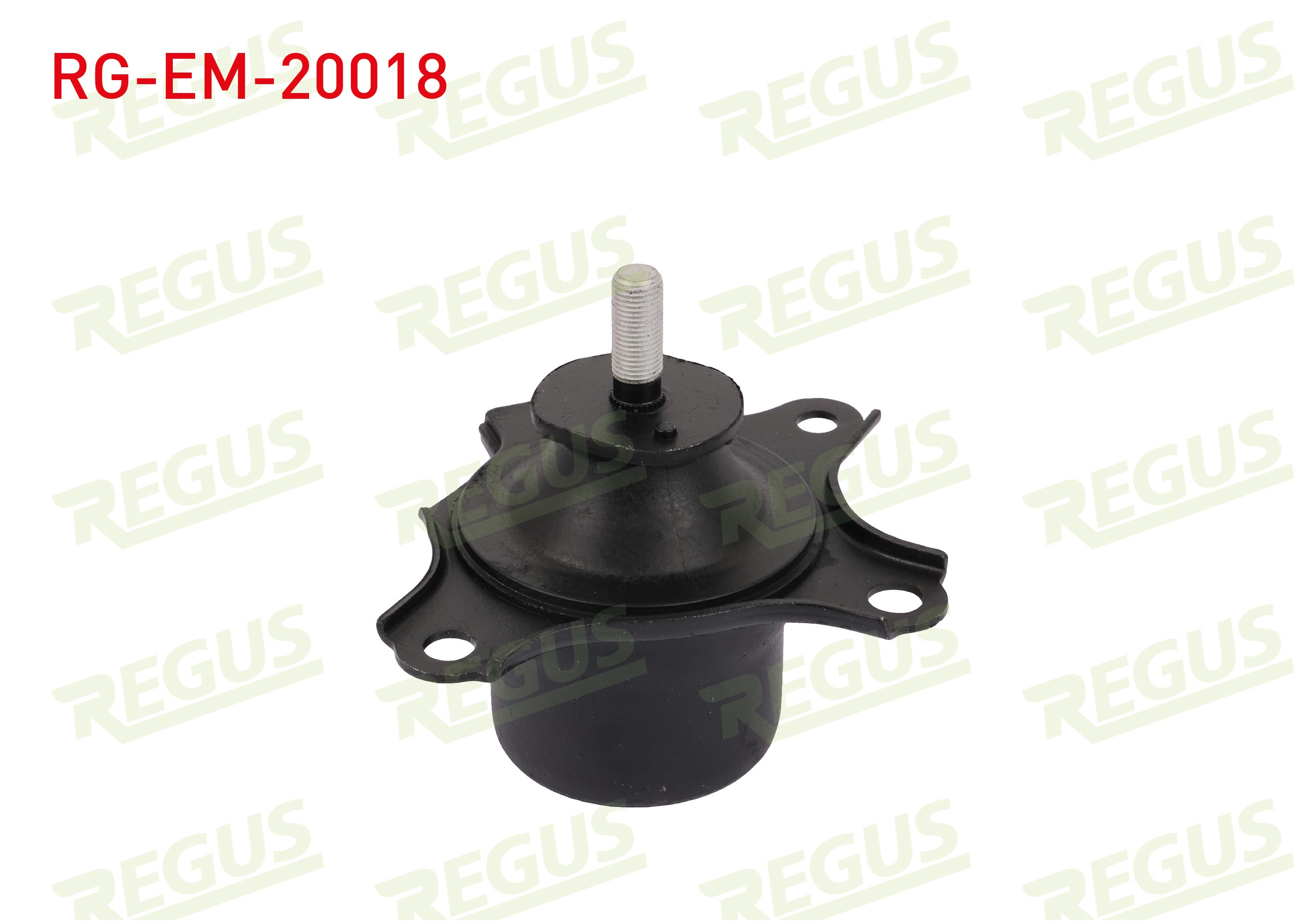 REGUS 61-13397