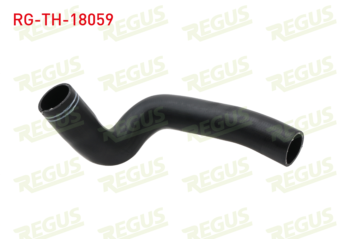 REGUS 15520