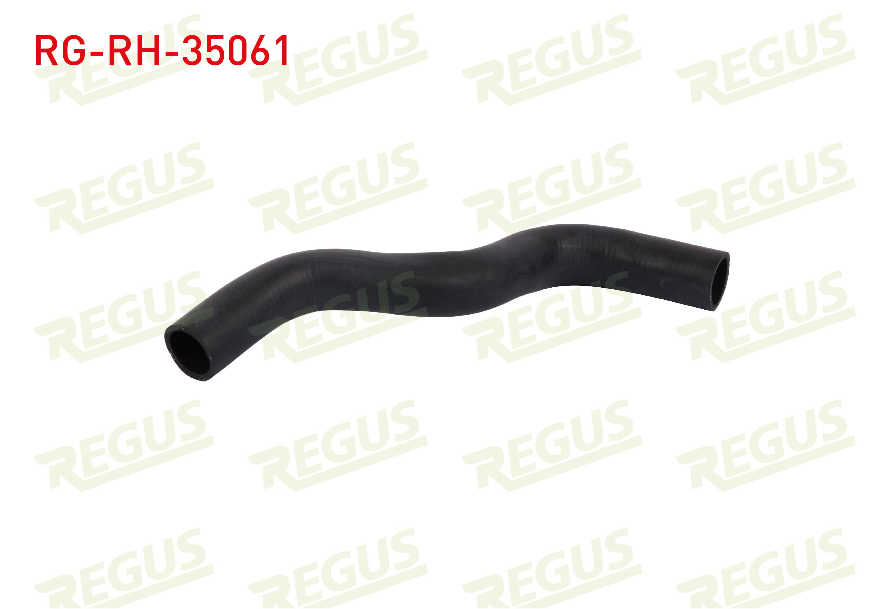 REGUS 11502