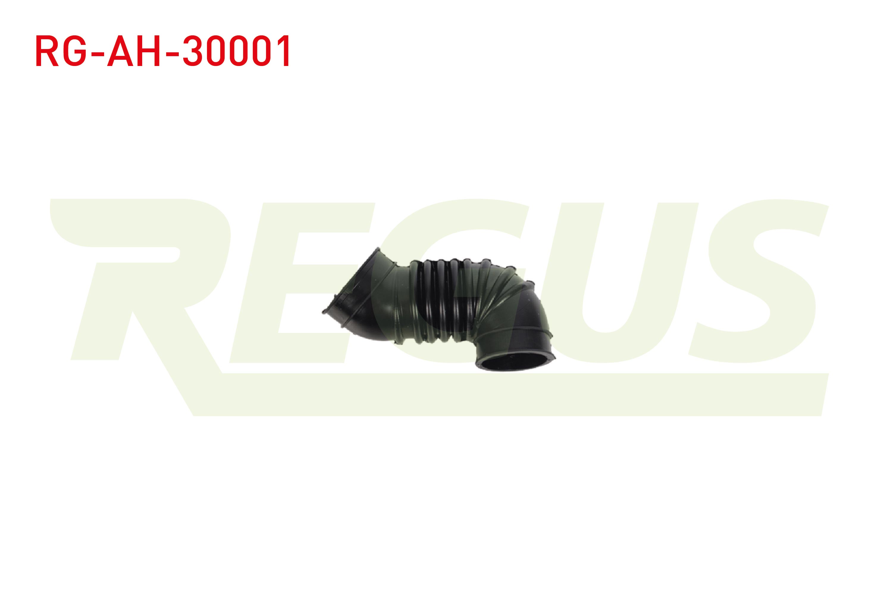 REGUS 18405