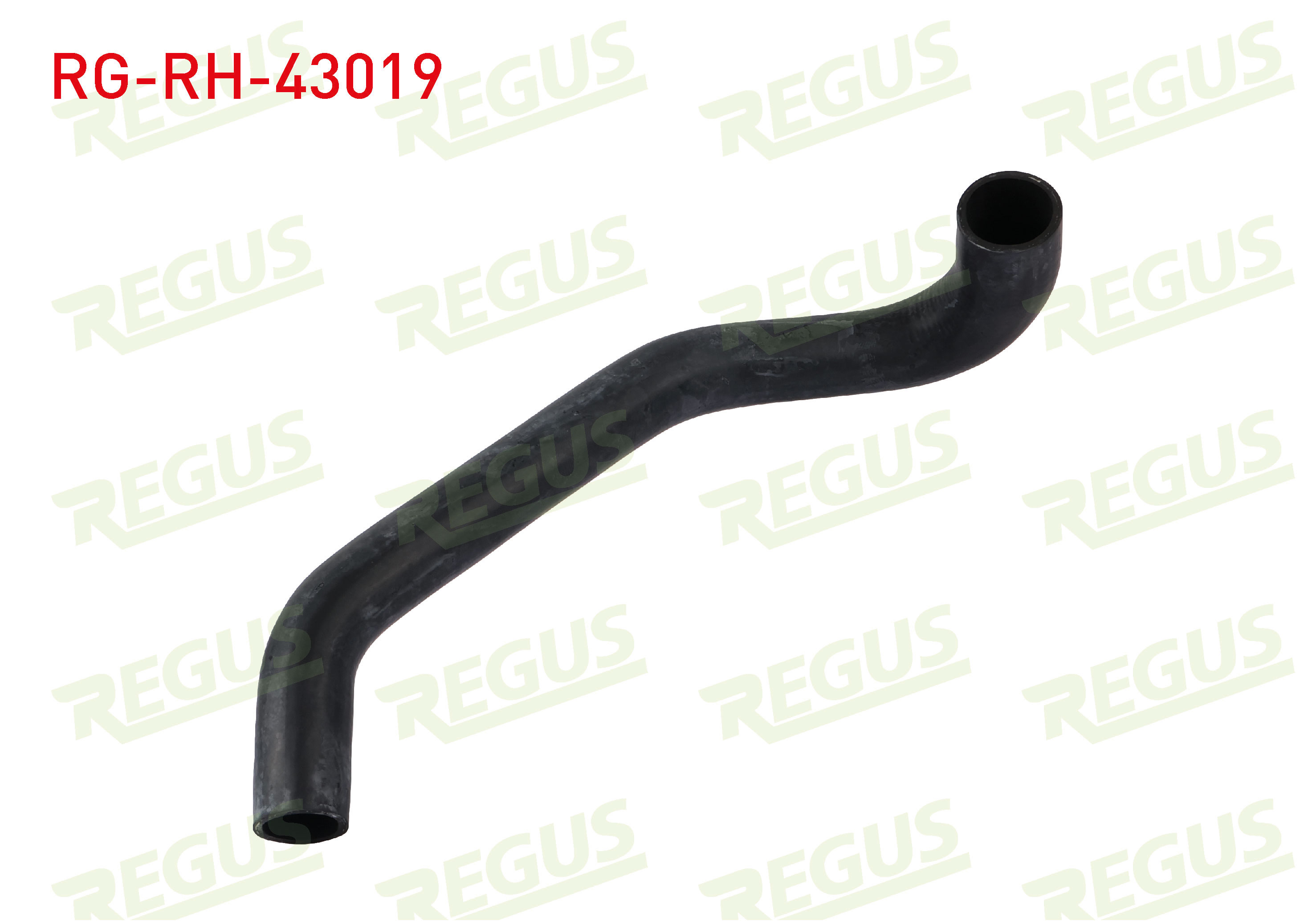 REGUS  | RADYATOR HORTUMU ALT HILUX 2.4