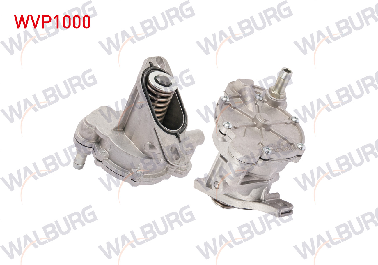 WALBURG 