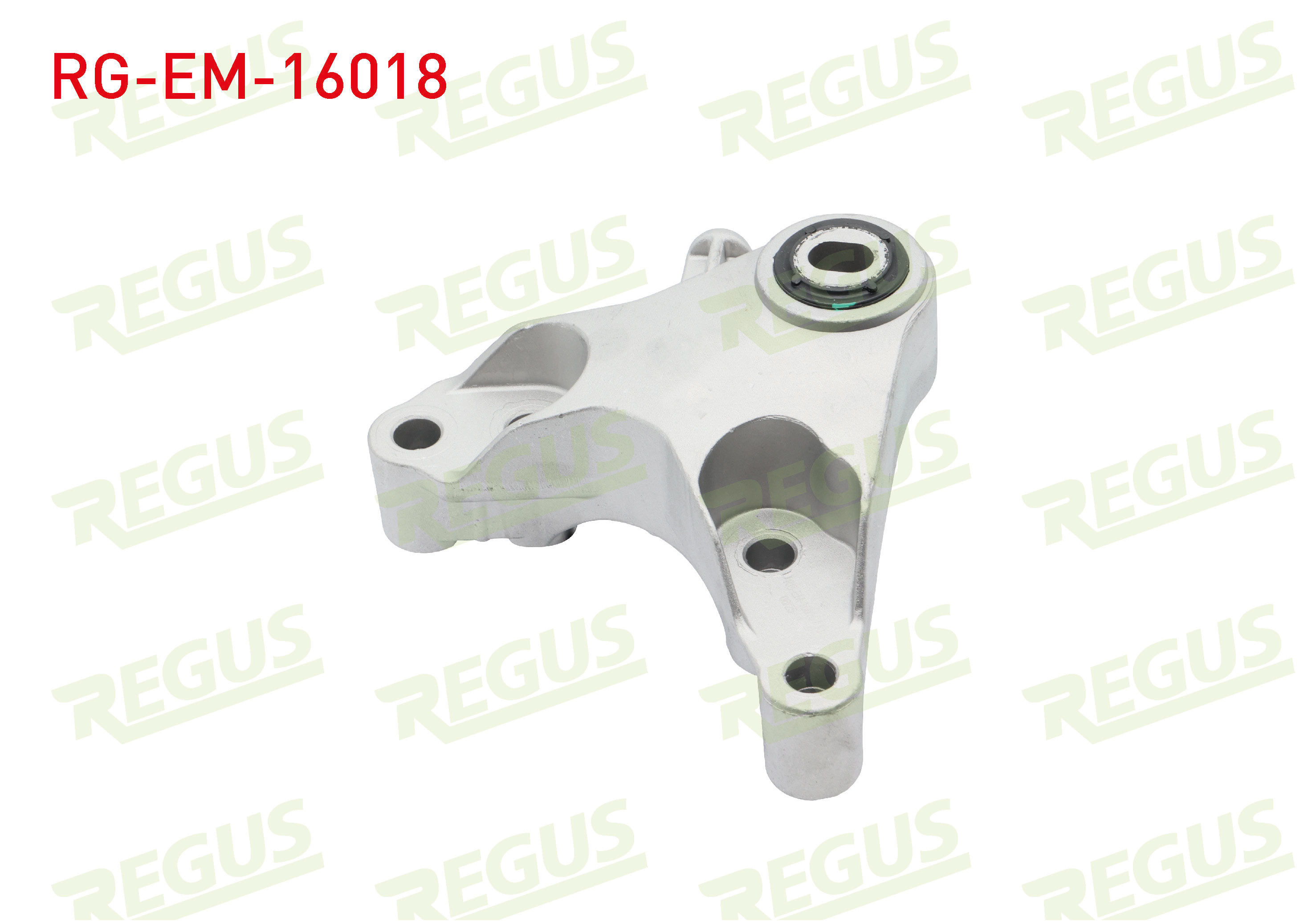 REGUS 
