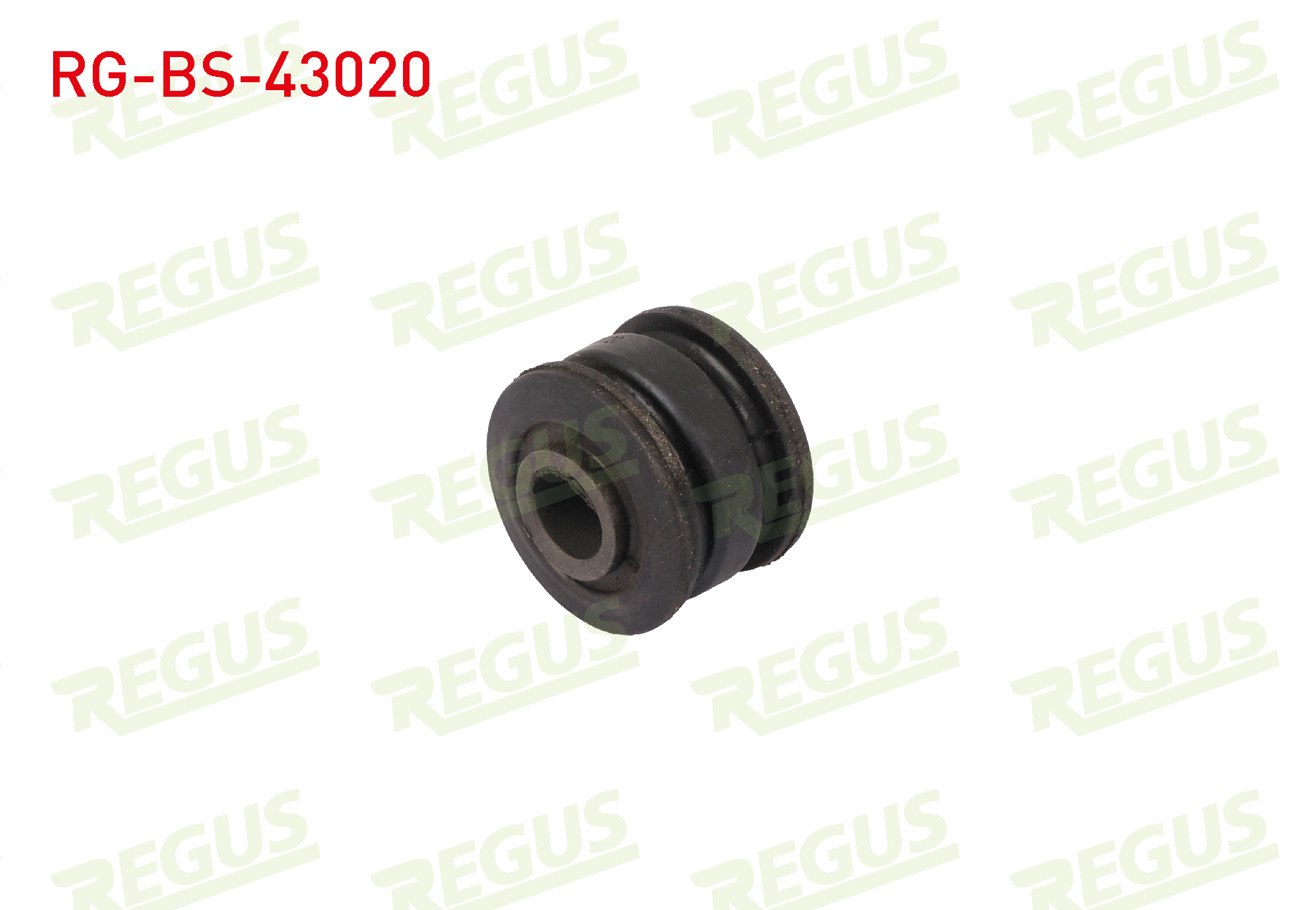 REGUS 65-09430