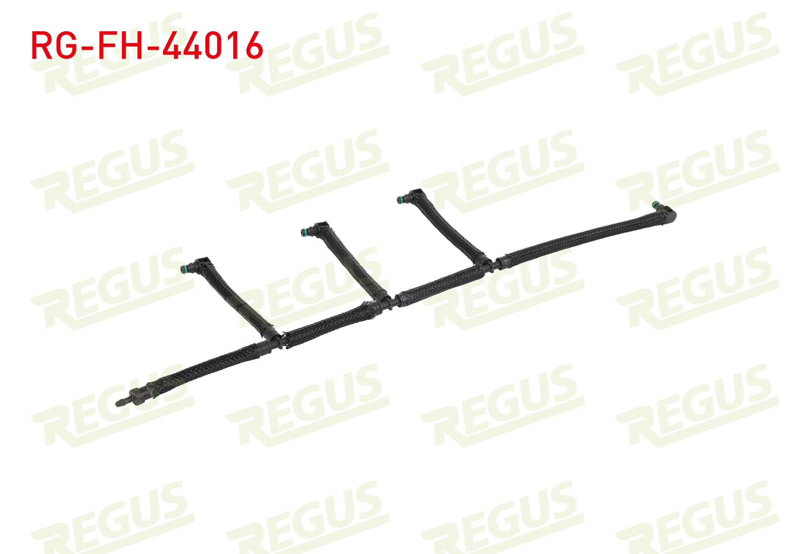 REGUS 